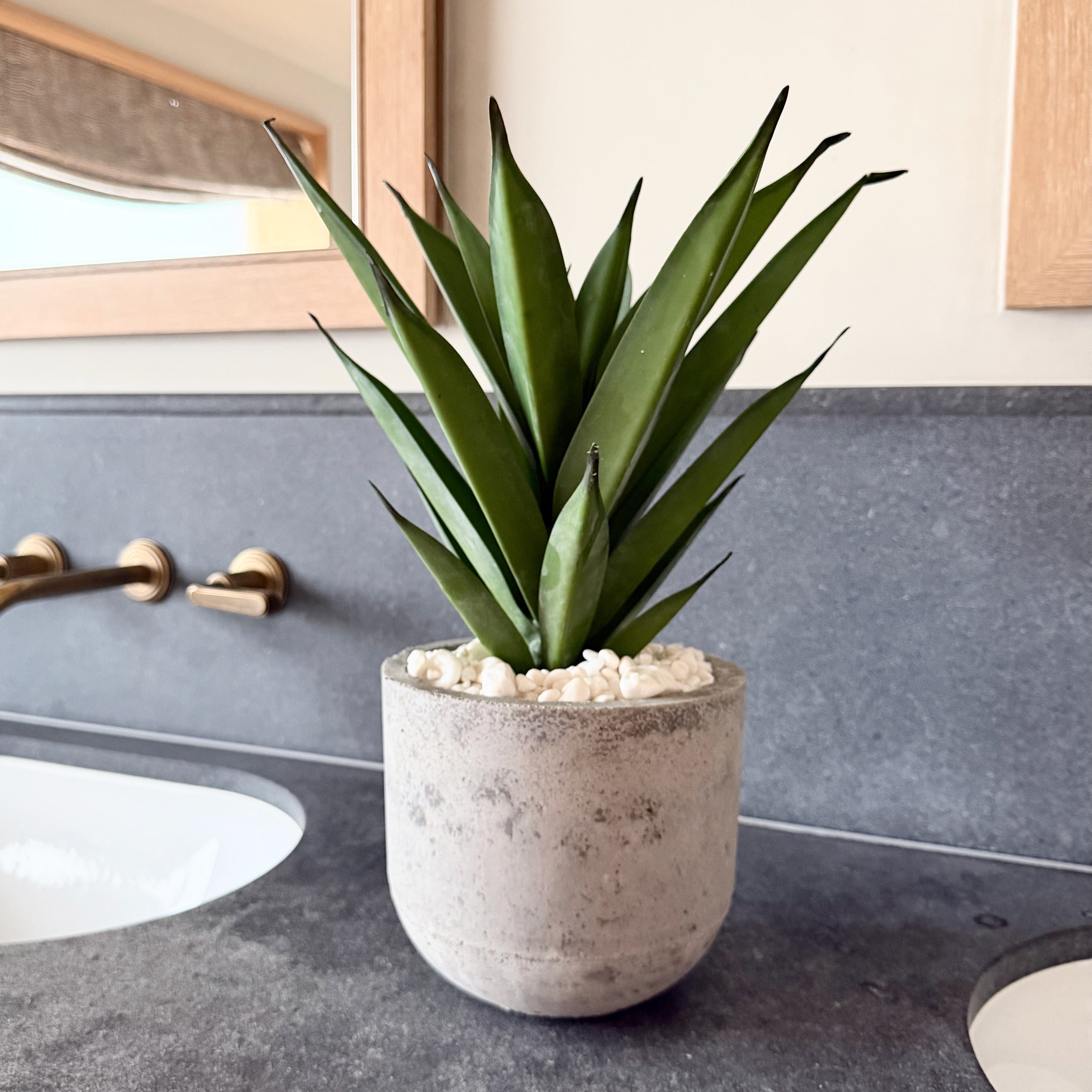 Realistic Artificial Aloe Vera in Grey Cement Pot AHCH-2053 by The Faux Flower Company
