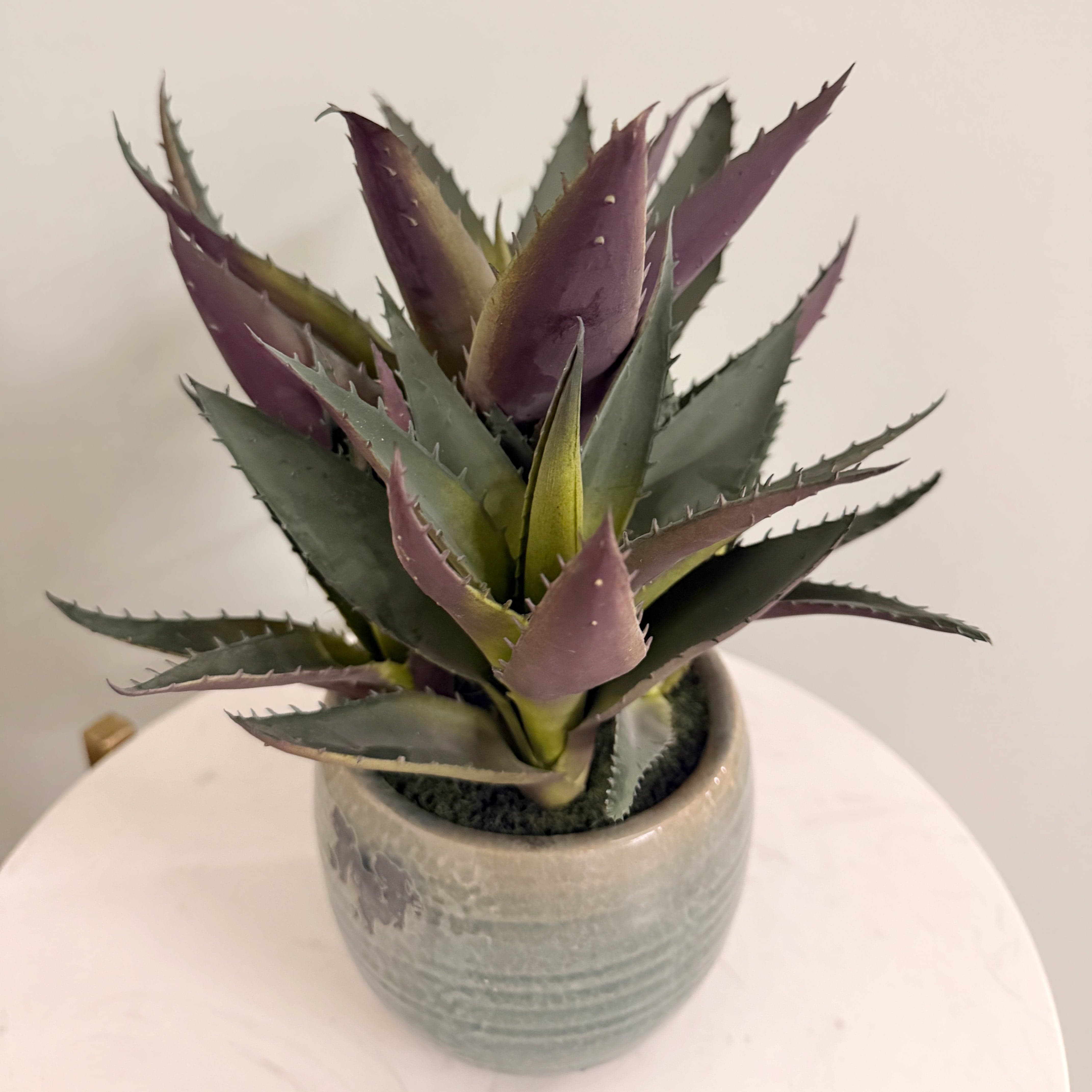 Realistic Artificial Green and Purple Aloe Vera in Blue Clay Pot AHCH-1906 by The Faux Flower Company
