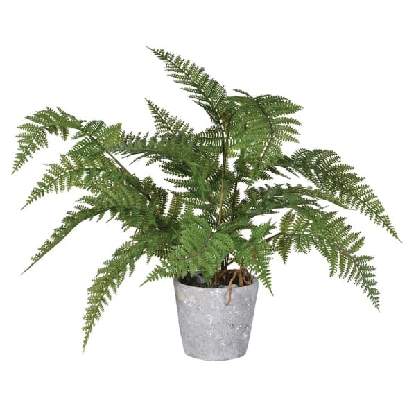 Realistic Artificial Green Bracken Fern in Cement Pot AHCH-1518 by The Faux Flower Company