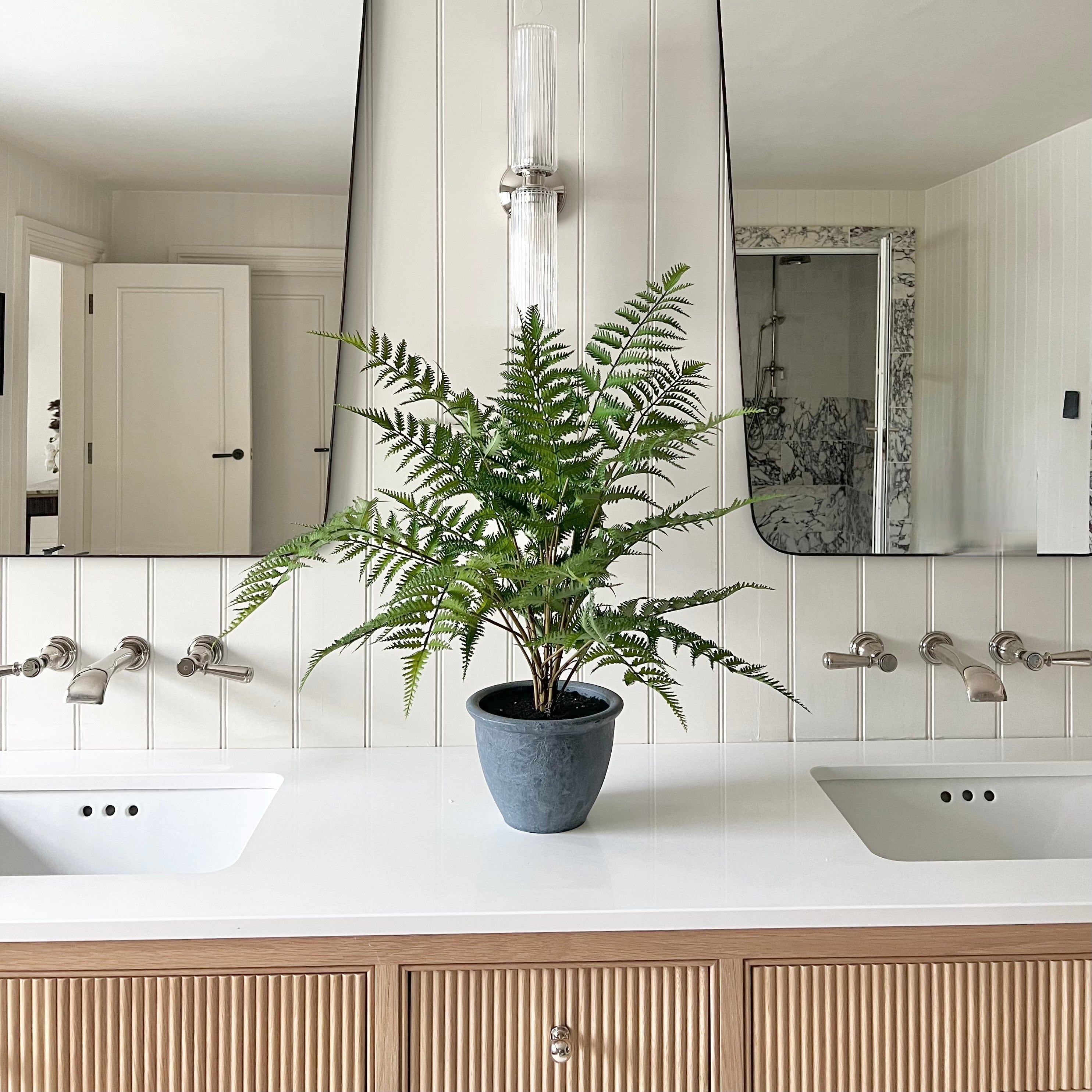 Realistic Artificial Green Bracken Fern in Dark Grey Pot AHCH-1422 by The Faux Flower Company