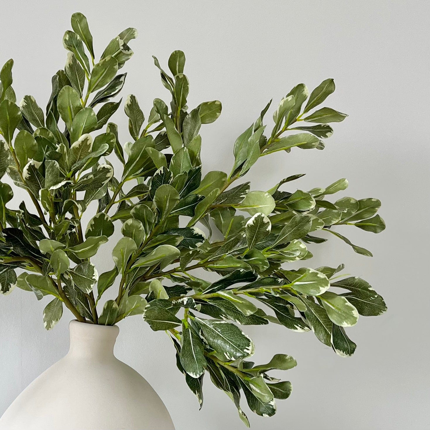 Realistic Artificial Green Pittosporum Leaves ABY1207GR by The Faux Flower Company