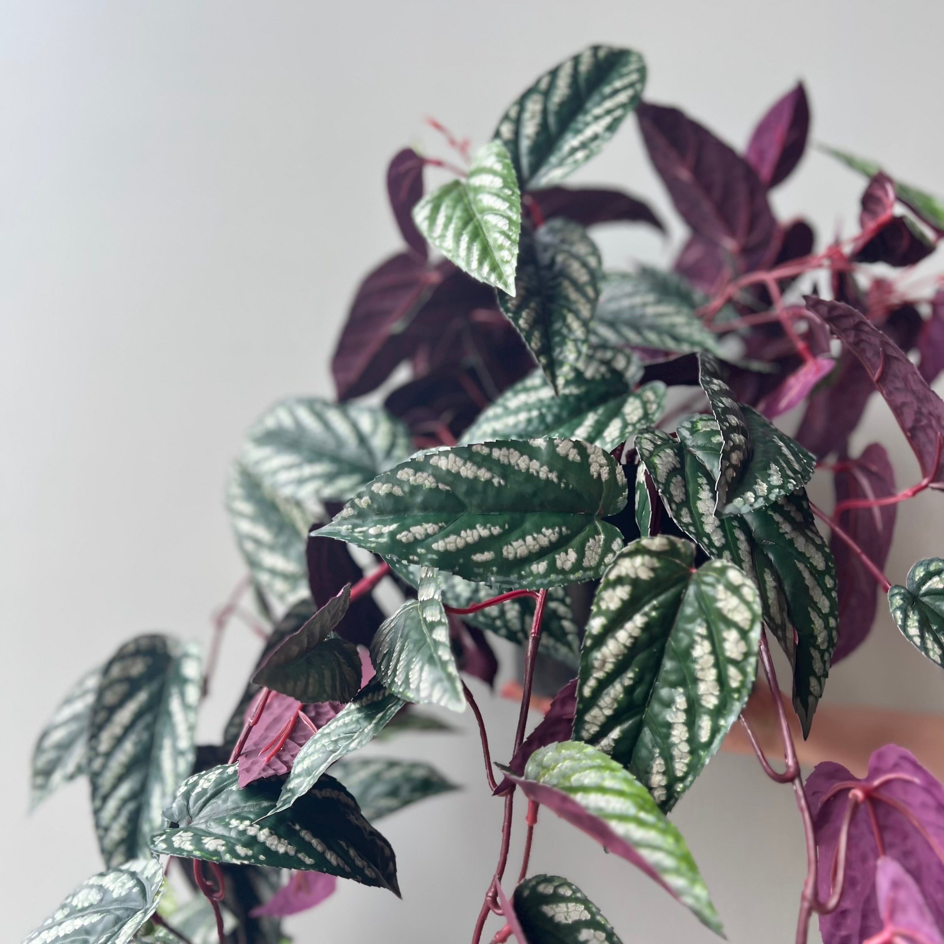 Realistic Artificial Large Burgundy Hanging Begonia Vine in Black Pot AHCH-2706 by The Faux Flower Company