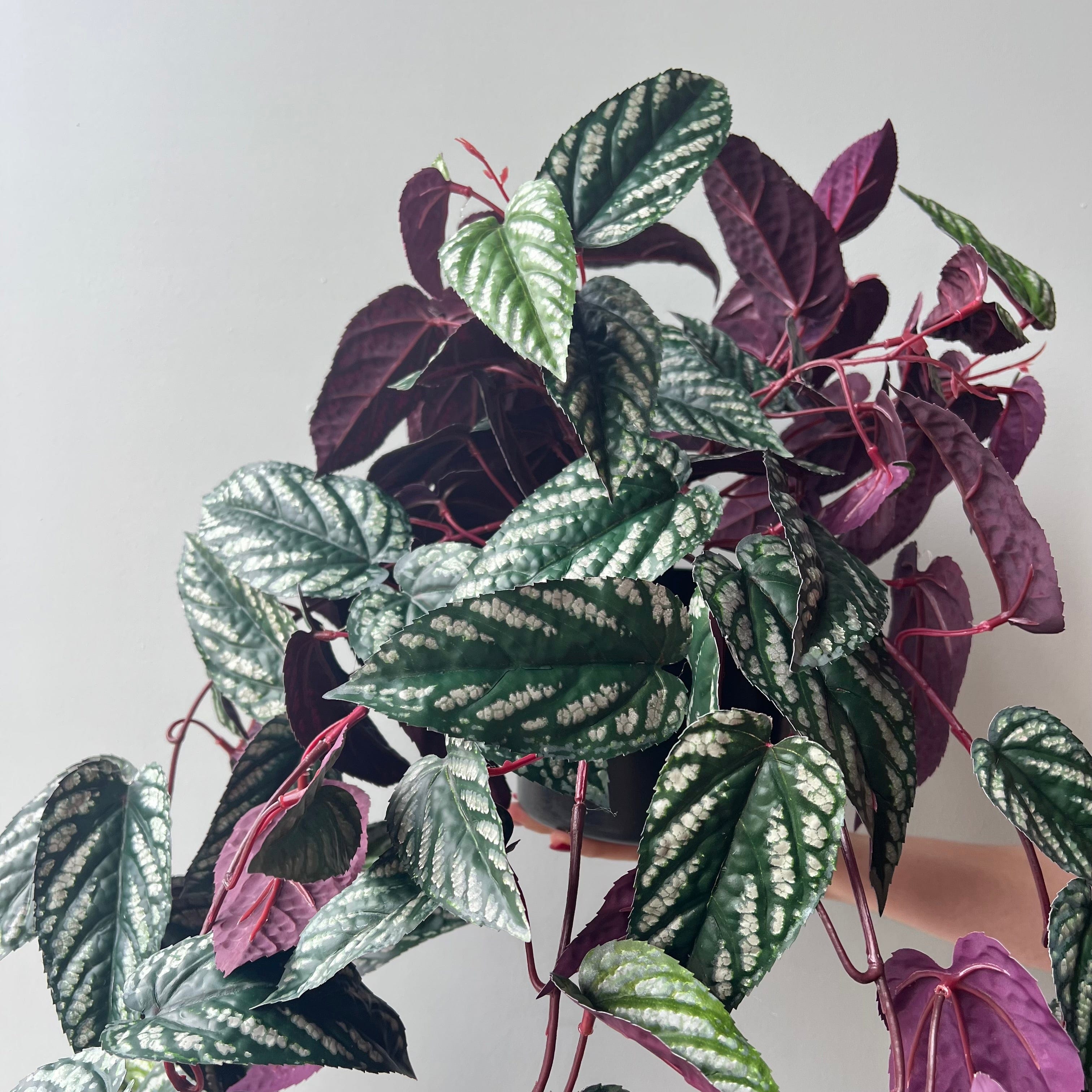 Realistic Artificial Large Burgundy Hanging Begonia Vine in Black Pot AHCH-2706 by The Faux Flower Company