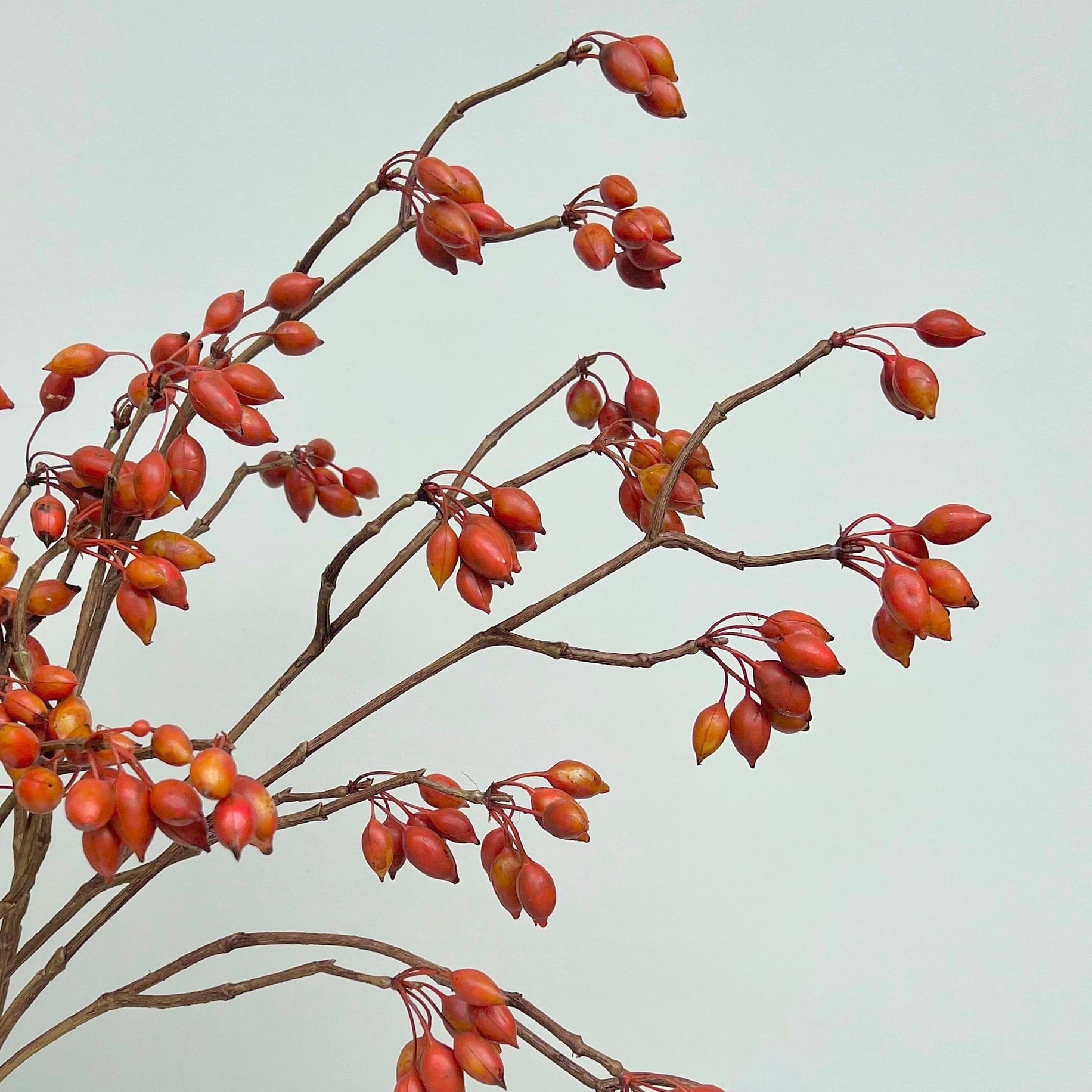 Realistic Artificial Orange Berry Spray AHCH-2655 by The Faux Flower Company