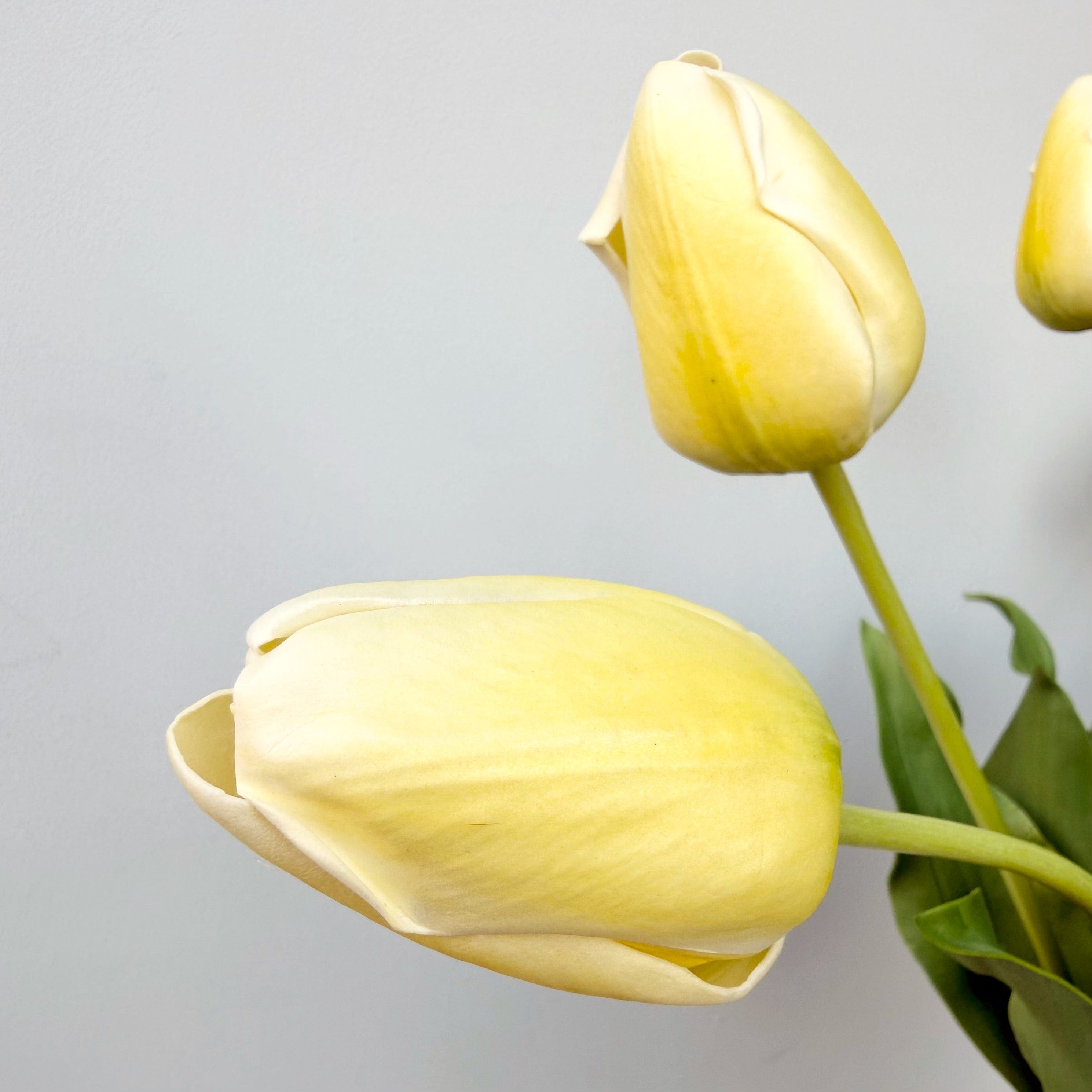 Realistic Artificial Yellow Tulip ABY5657YL by The Faux Flower Company