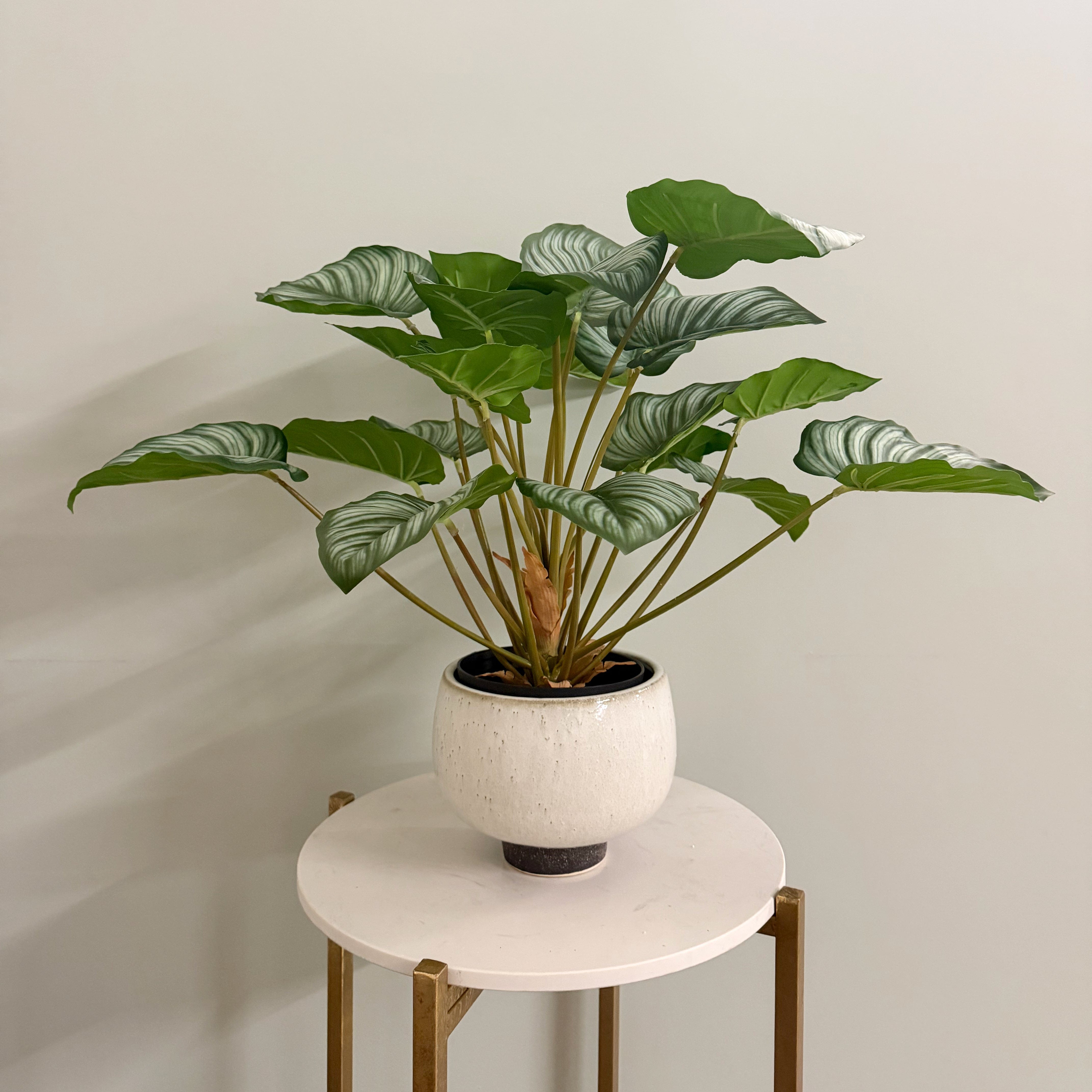 Realistic Short Round Cream Speckle Planter AHCH-0340 by The Faux Flower Company