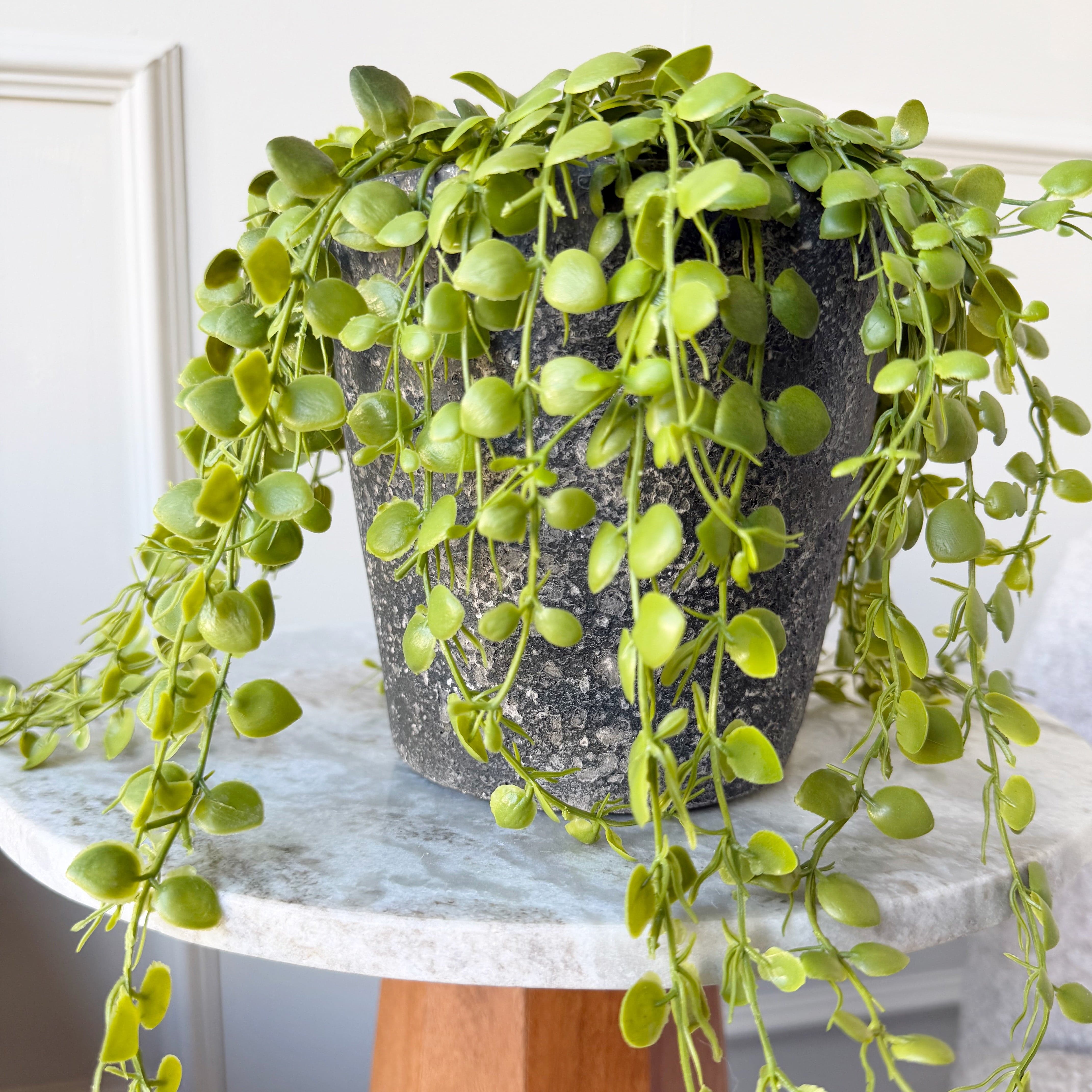 Realistic Artificial Green Button Fern In Pot AHCH-1783 by The Faux Flower Company