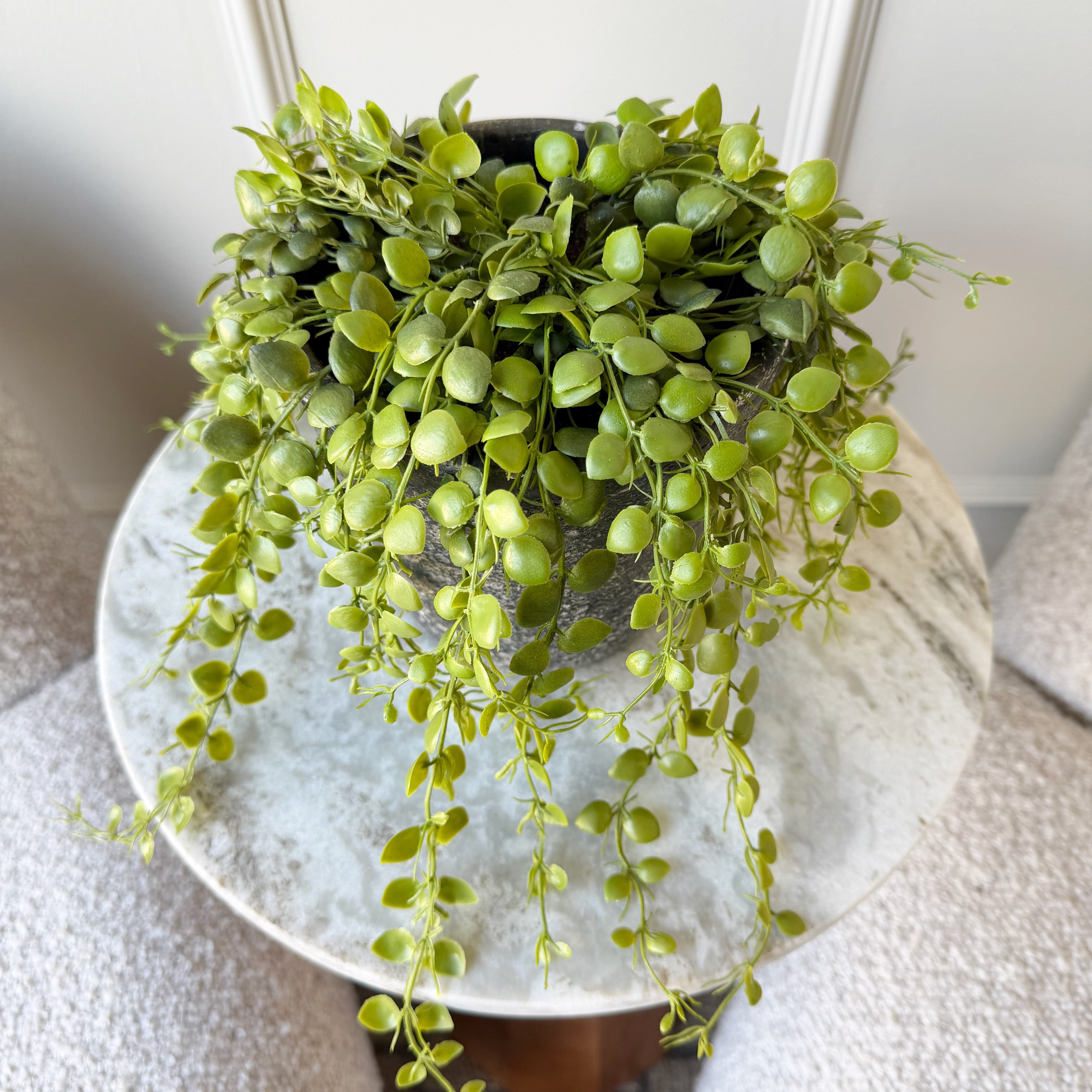 Realistic Artificial Green Button Fern In Pot AHCH-1783 by The Faux Flower Company