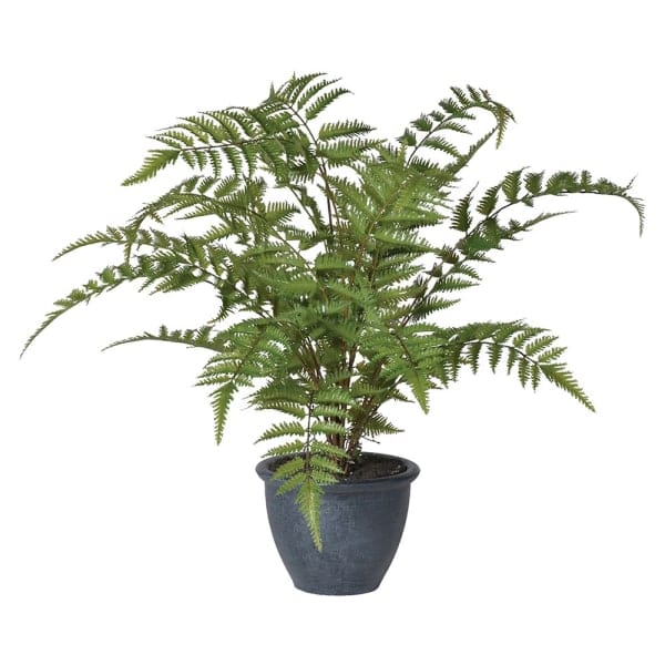 Realistic Artificial Green Bracken Fern in Dark Grey Pot AHCH-1422 by The Faux Flower Company