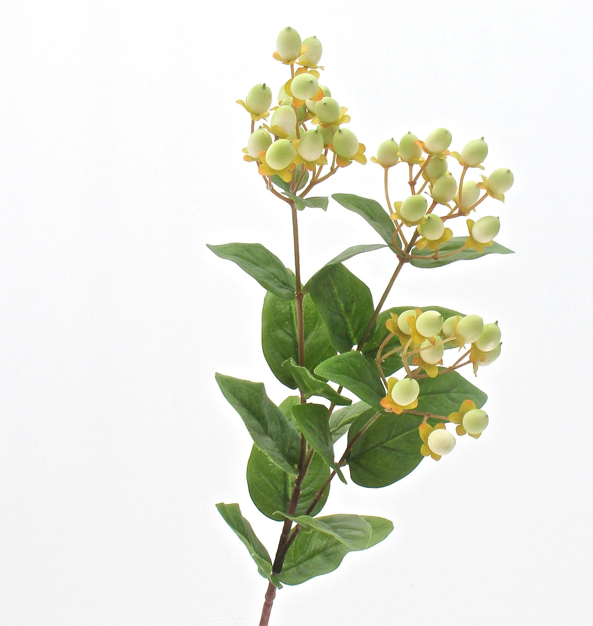 Realistic Artificial Green Hypericum Berries ABX5063WH by The Faux Flower Company