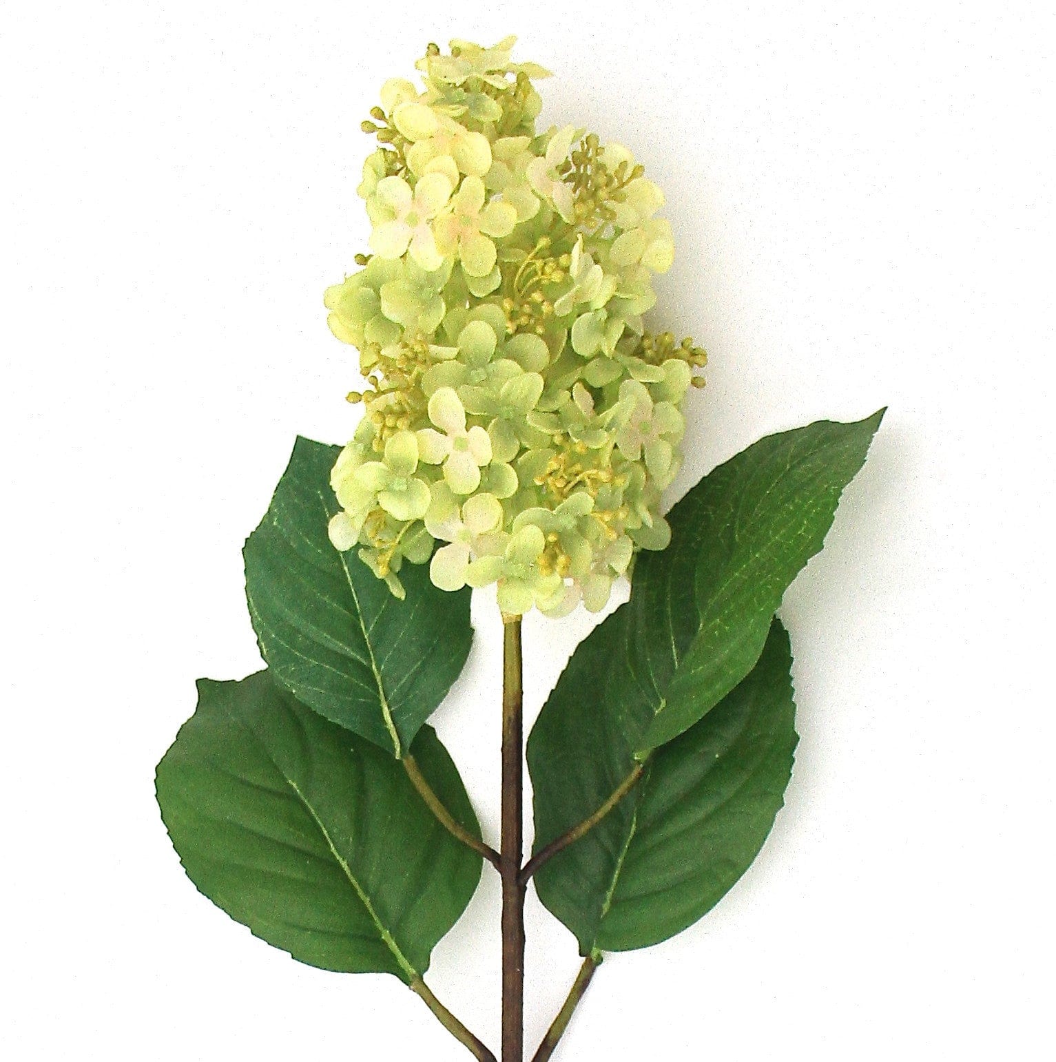 Realistic Artificial Green Paniculata Hydrangea ABX5004GR by The Faux Flower Company