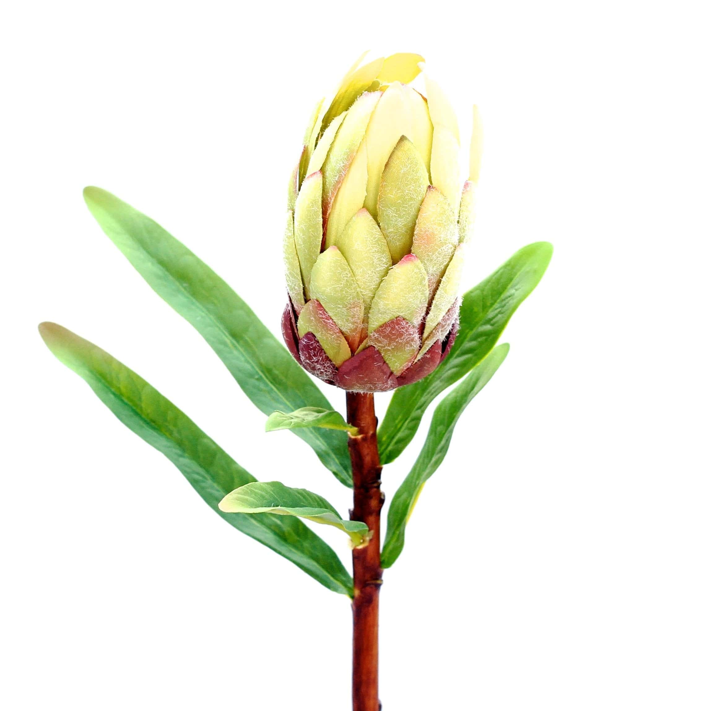 Realistic Artificial Green Protea Stem ABY7038GR by The Faux Flower Company