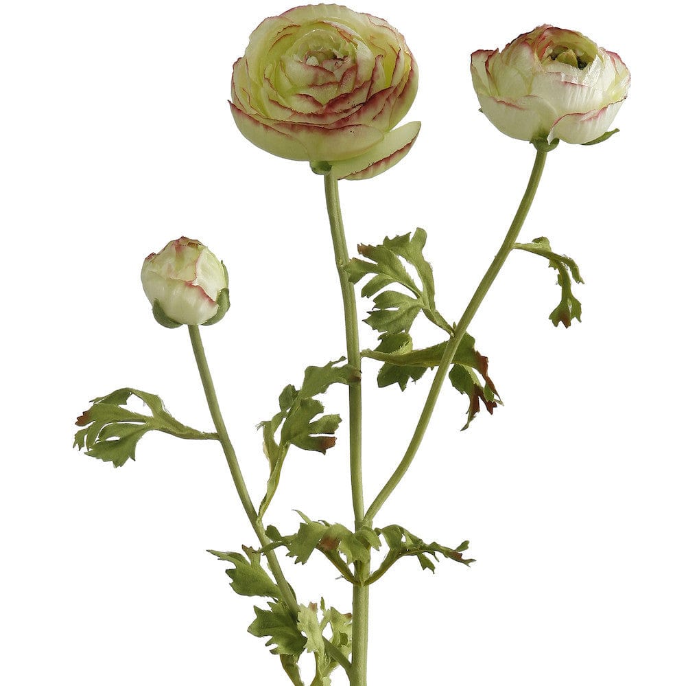 Realistic Artificial Green Ranunculus ABY5767GR by The Faux Flower Company