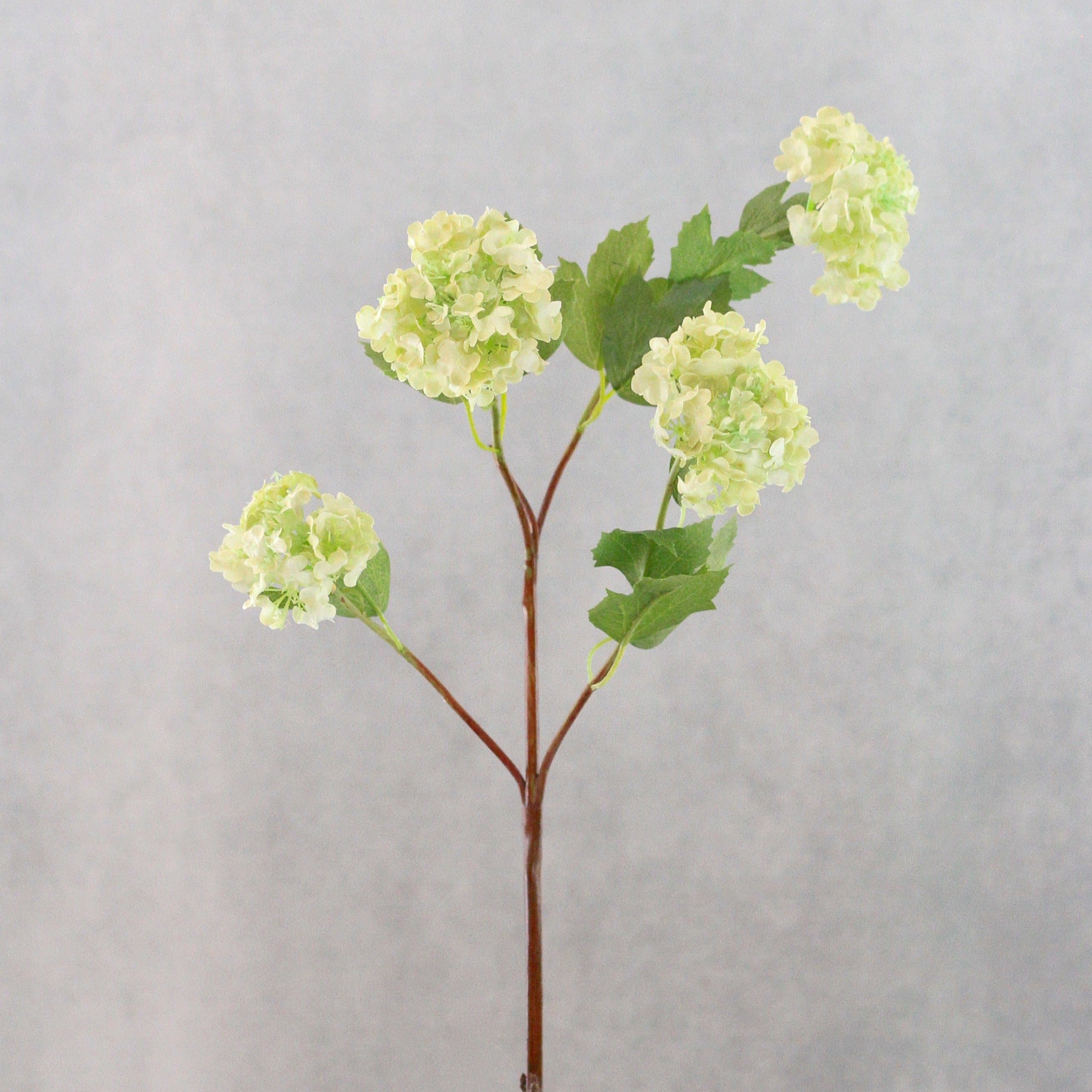 Realistic Artificial Green Viburnum ABX5752GR by The Faux Flower Company