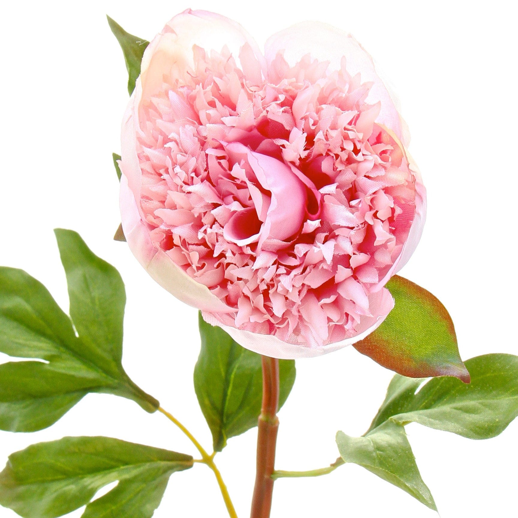 Realistic Artificial Pink Open Peony ABY4236PK by The Faux Flower Company