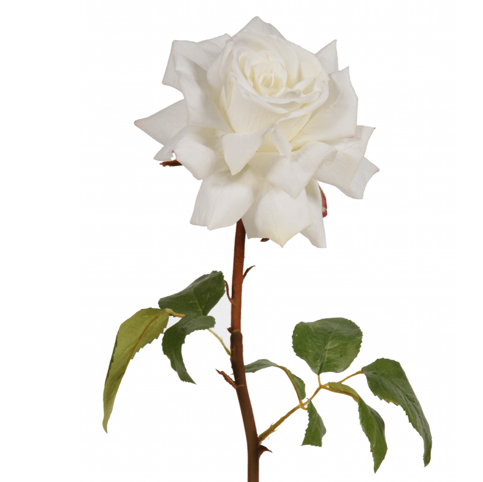 Realistic Artificial White Tea Rose ABY5155WH by The Faux Flower Company