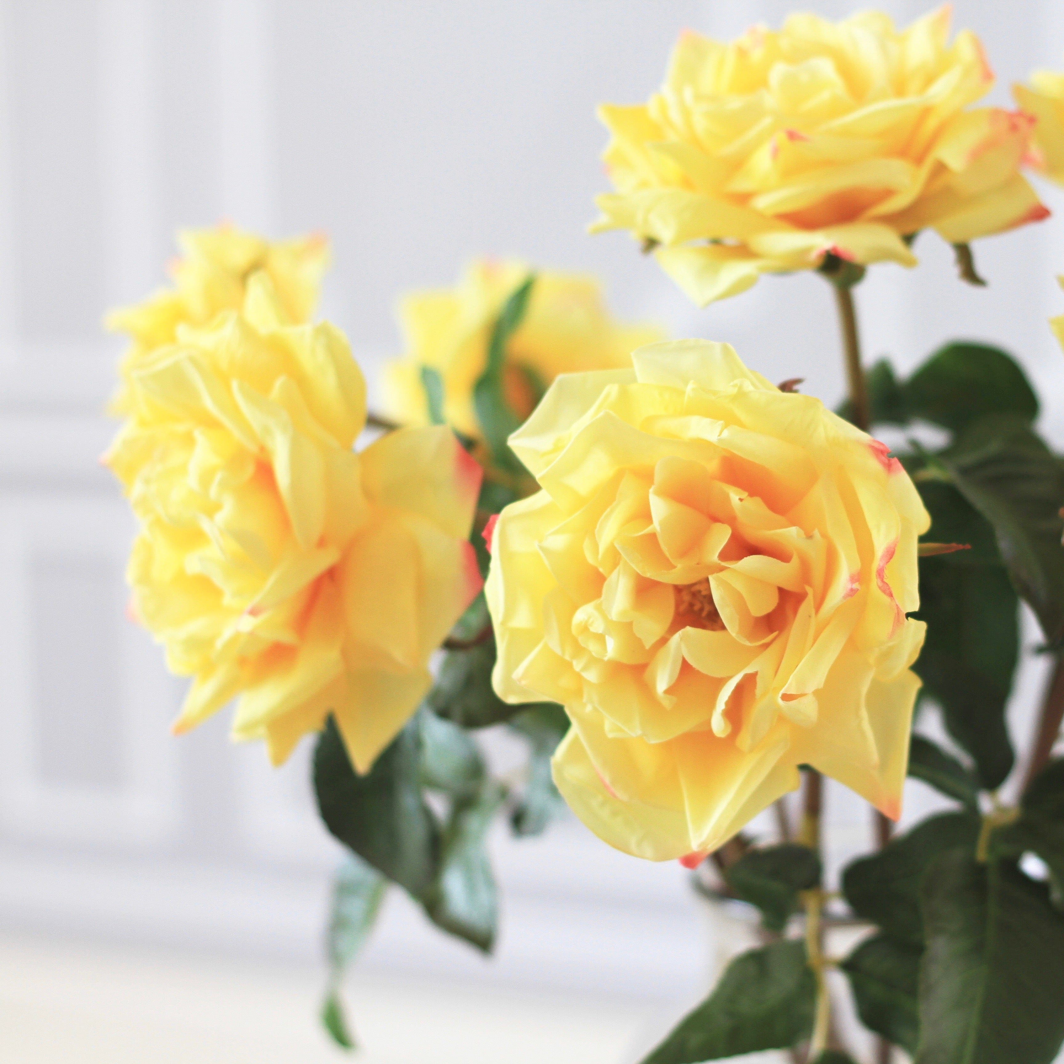 Realistic Artificial Yellow Garden Rose ABY3108YL by The Faux Flower Company