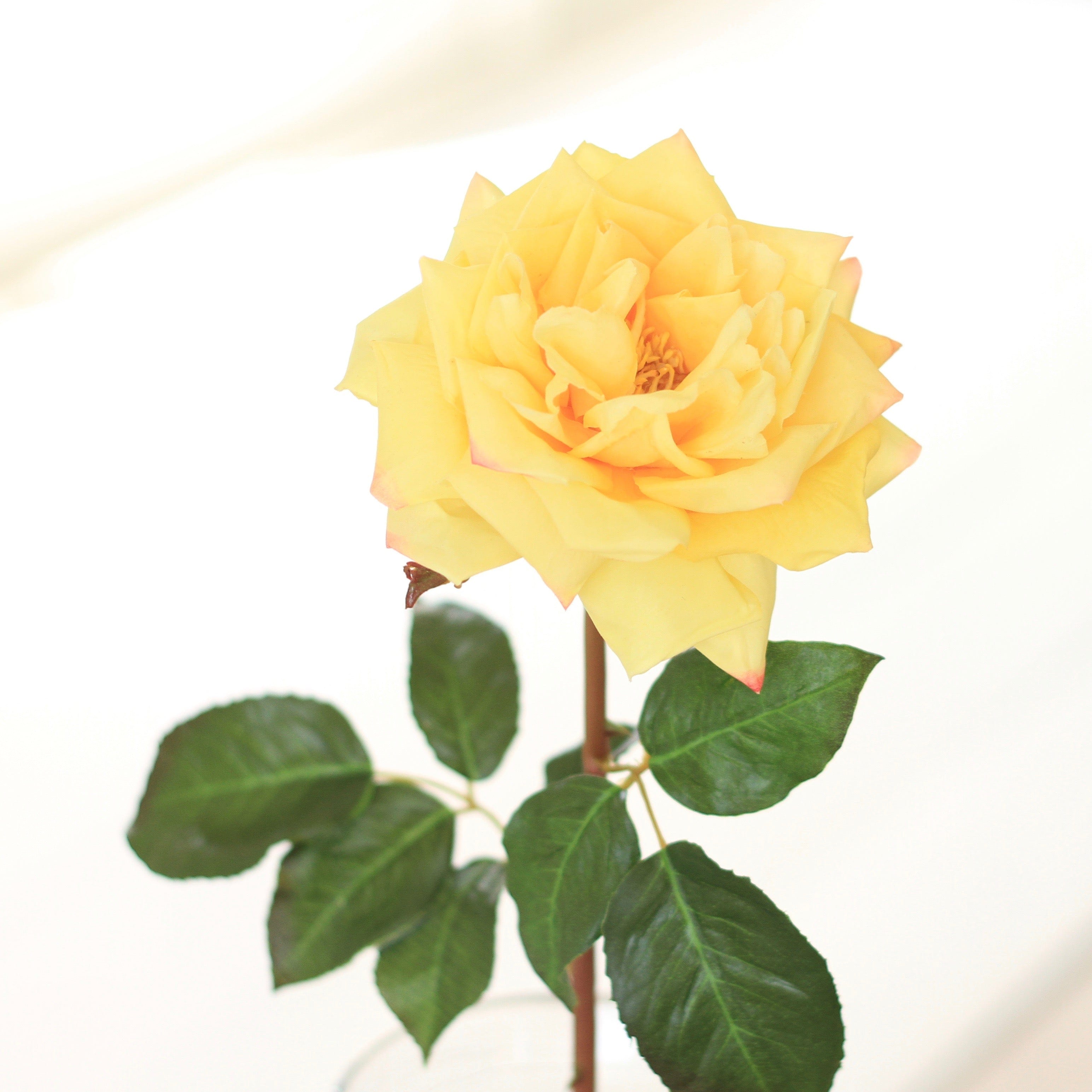Realistic Artificial Yellow Garden Rose ABY3108YL by The Faux Flower Company