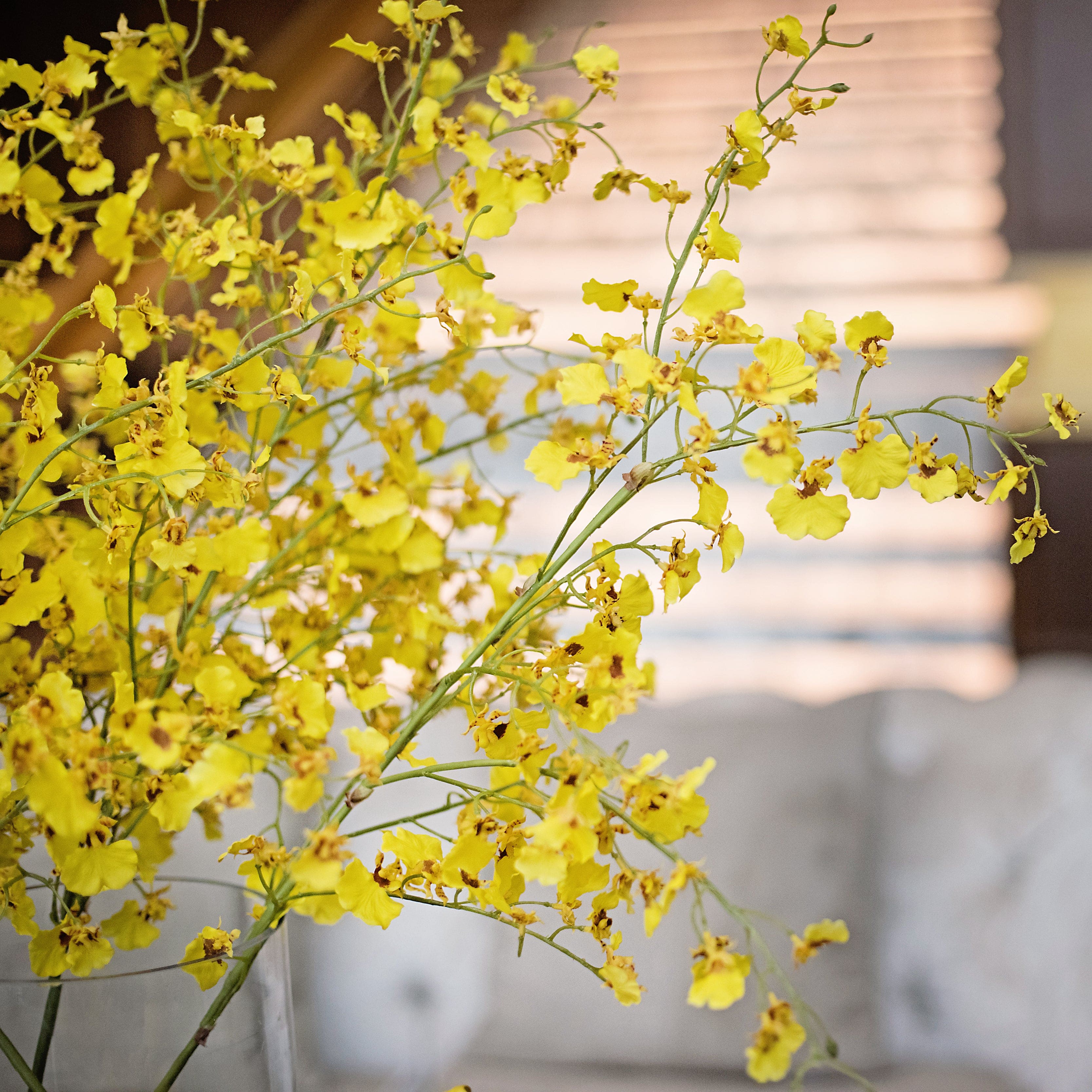 Realistic Artificial Yellow Oncidium Orchid ABY7044YL by The Faux Flower Company