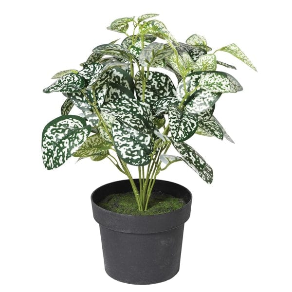 Realistic Chinese Evergreen Plant AHCH-2339 by The Faux Flower Company