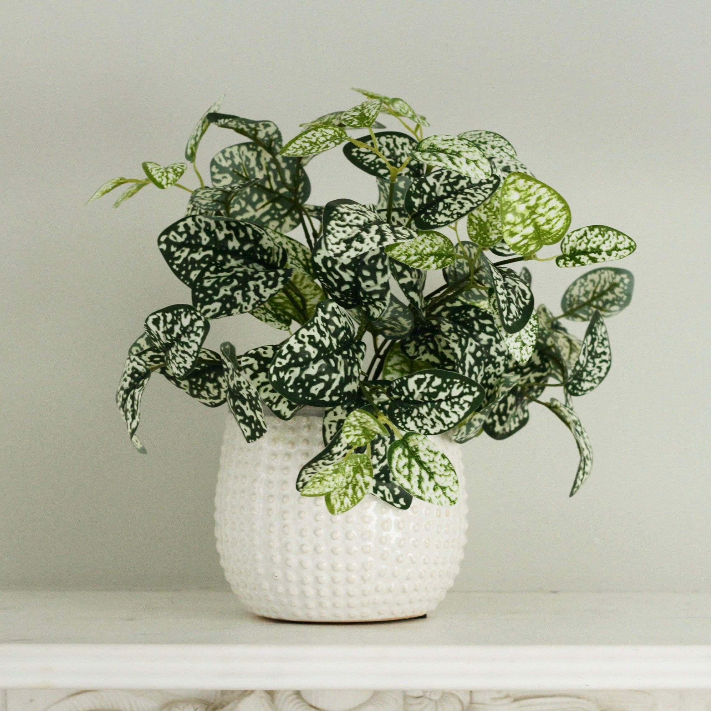 Realistic Chinese Evergreen Plant AHCH-2339 by The Faux Flower Company