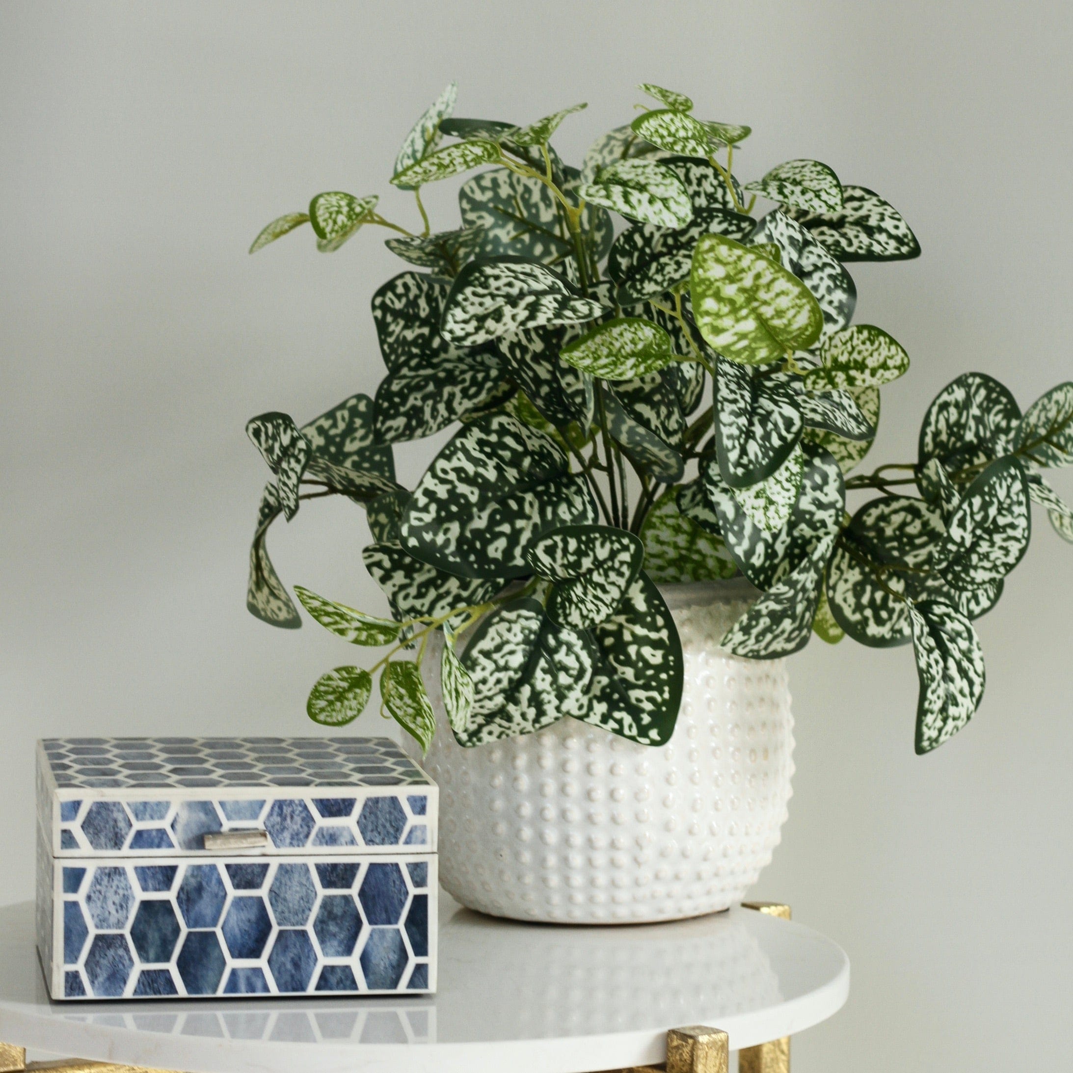 Realistic Chinese Evergreen Plant AHCH-2339 by The Faux Flower Company