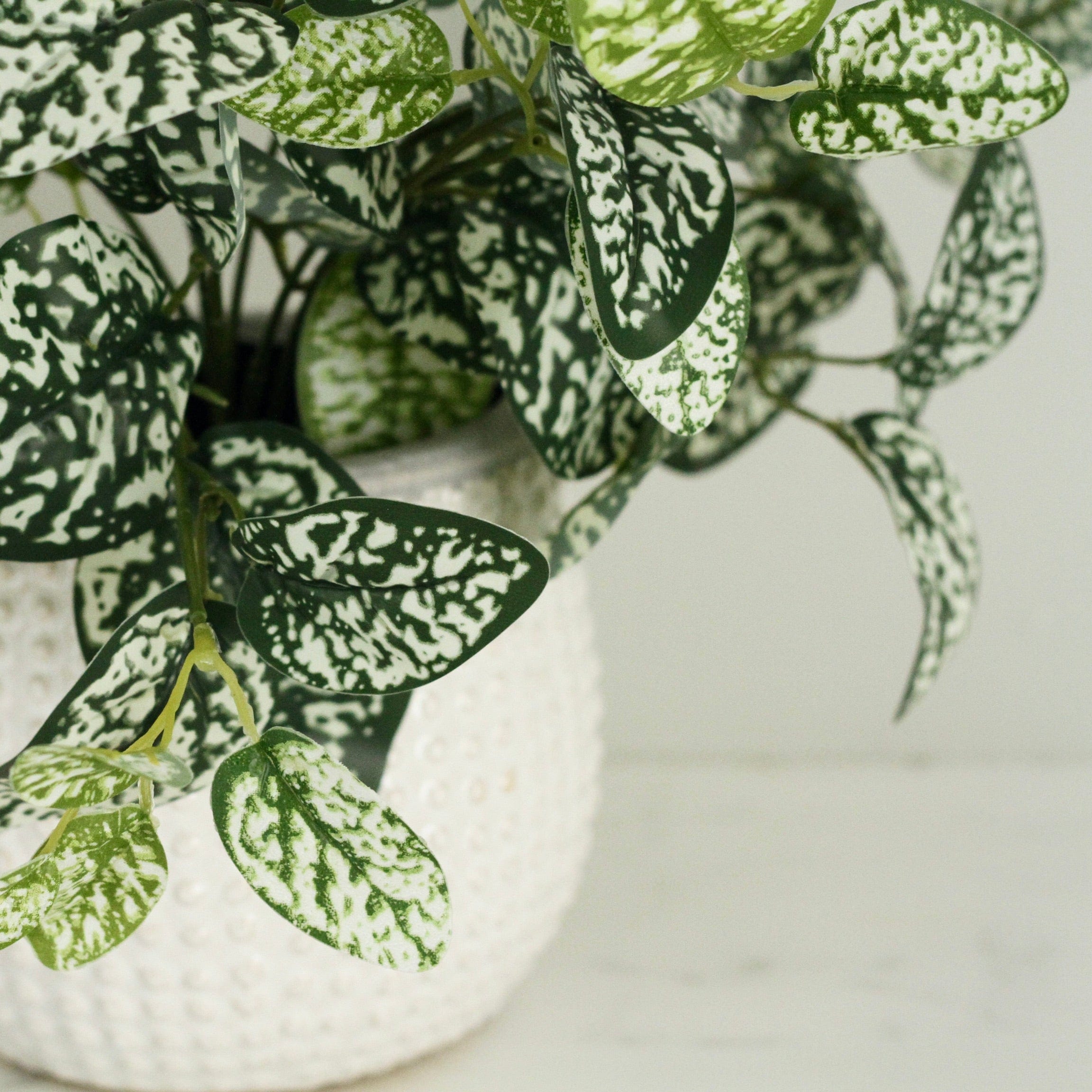 Realistic Chinese Evergreen Plant AHCH-2339 by The Faux Flower Company