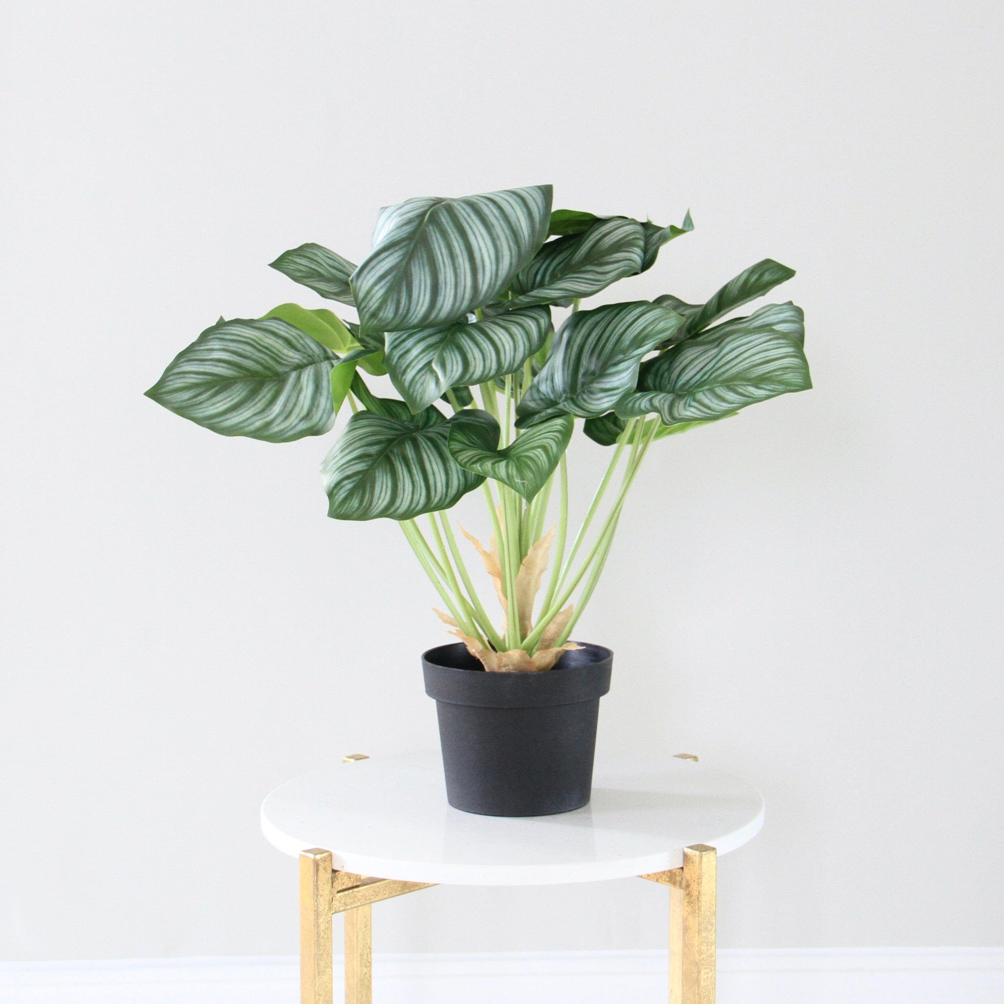 Realistic Green Artificial Peacock Plant AHCH-2340 by The Faux Flower Company