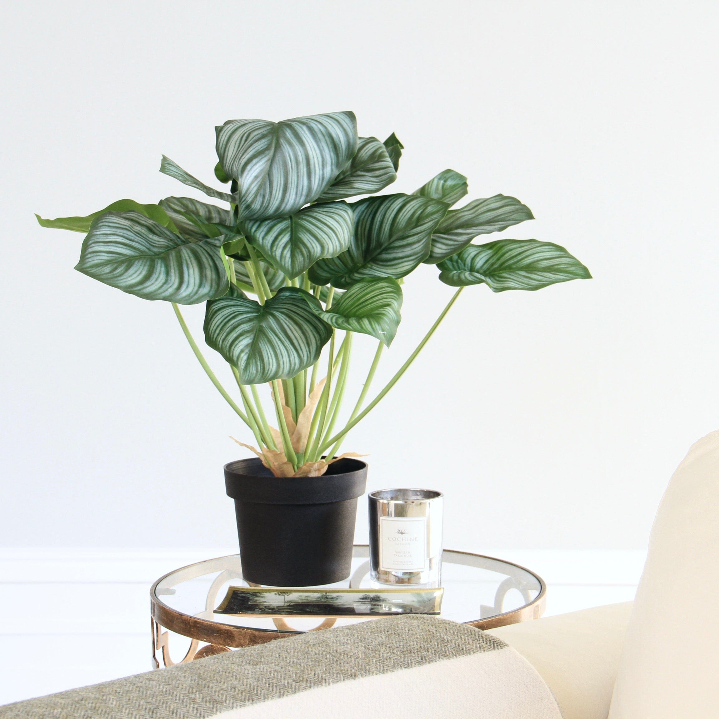 Realistic Green Artificial Peacock Plant AHCH-2340 by The Faux Flower Company