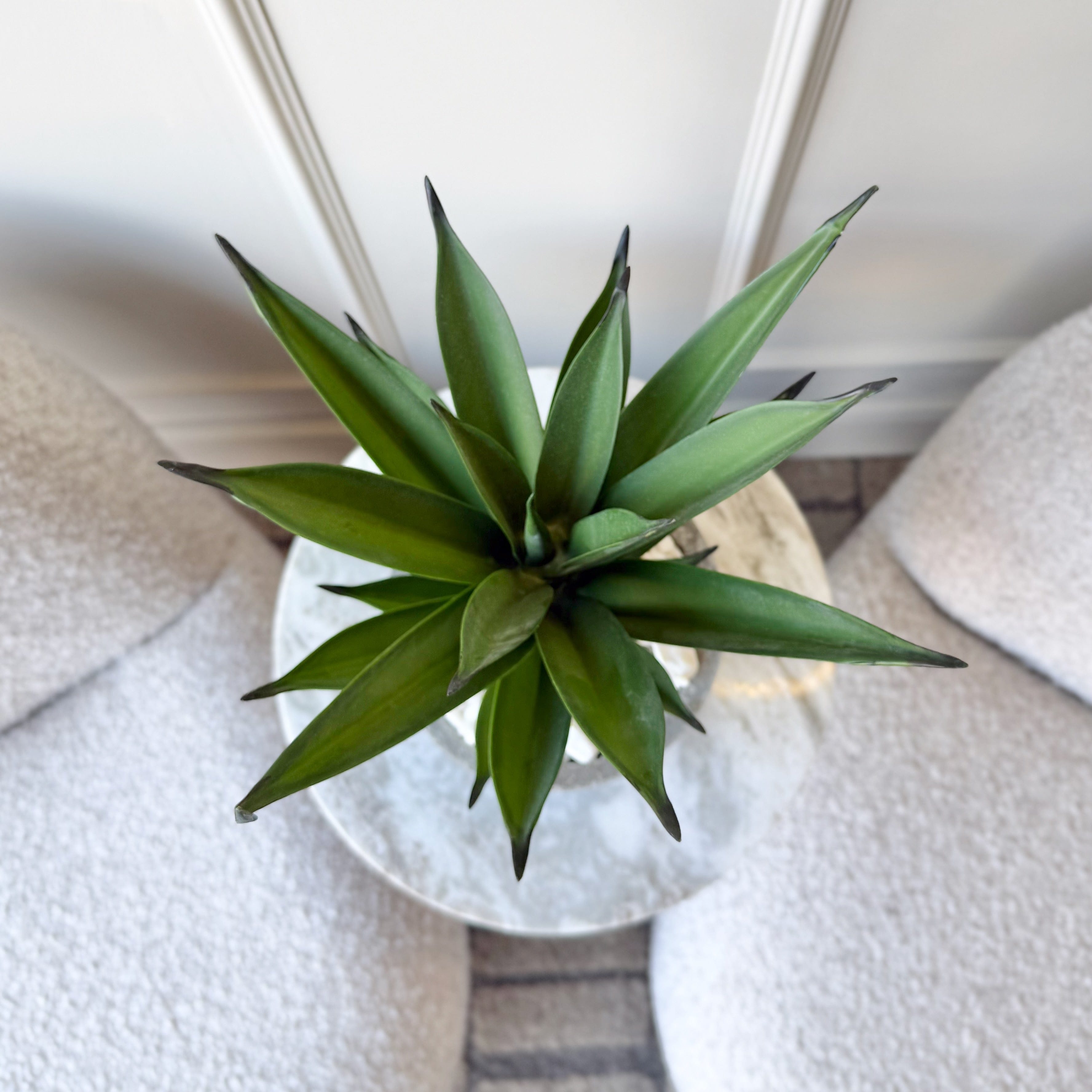 Realistic Artificial Aloe Vera in Grey Cement Pot AHCH-2053 by The Faux Flower Company