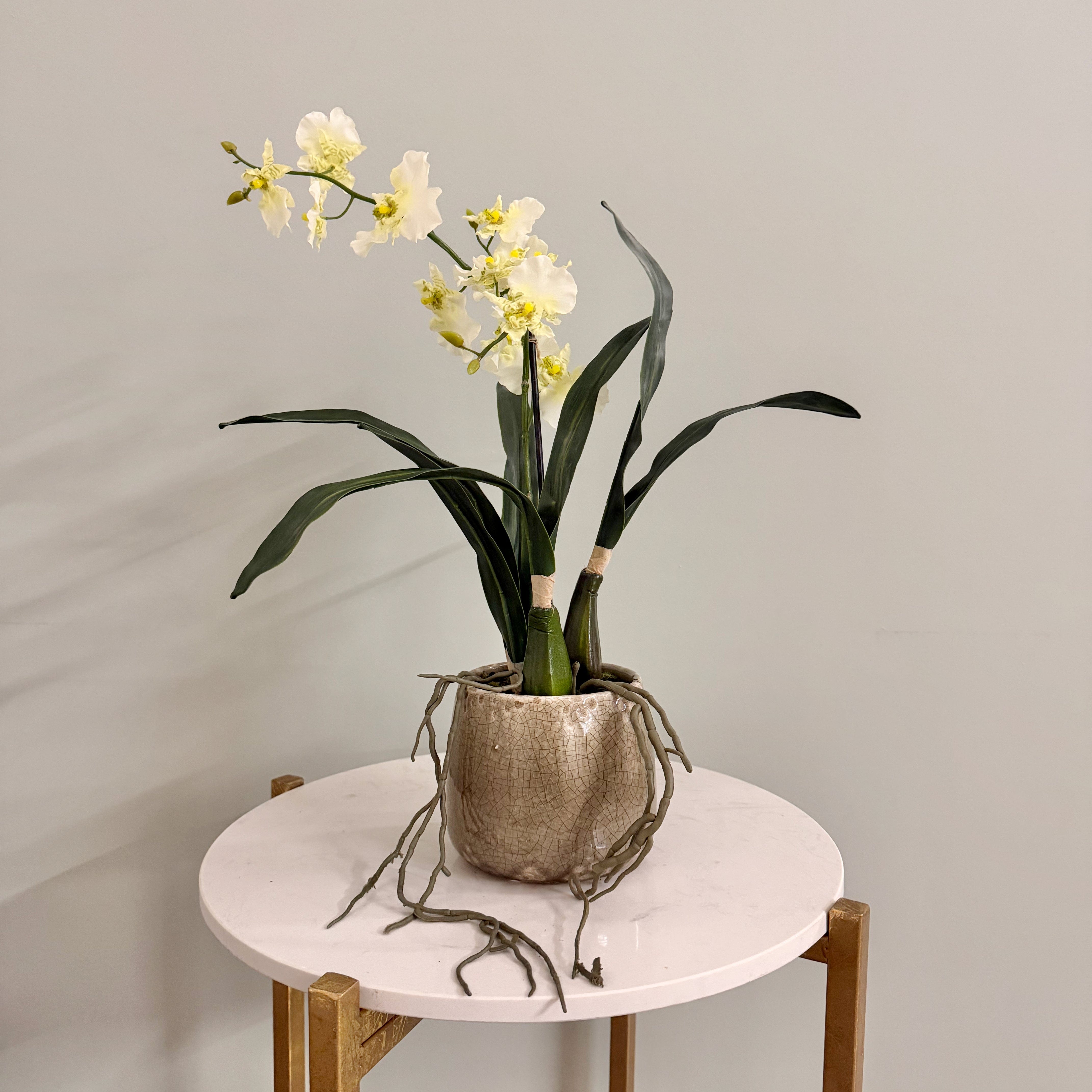 Realistic Artificial Dancing Orchid in Khaki Ceramic Pot AHCH-2851 by The Faux Flower Company