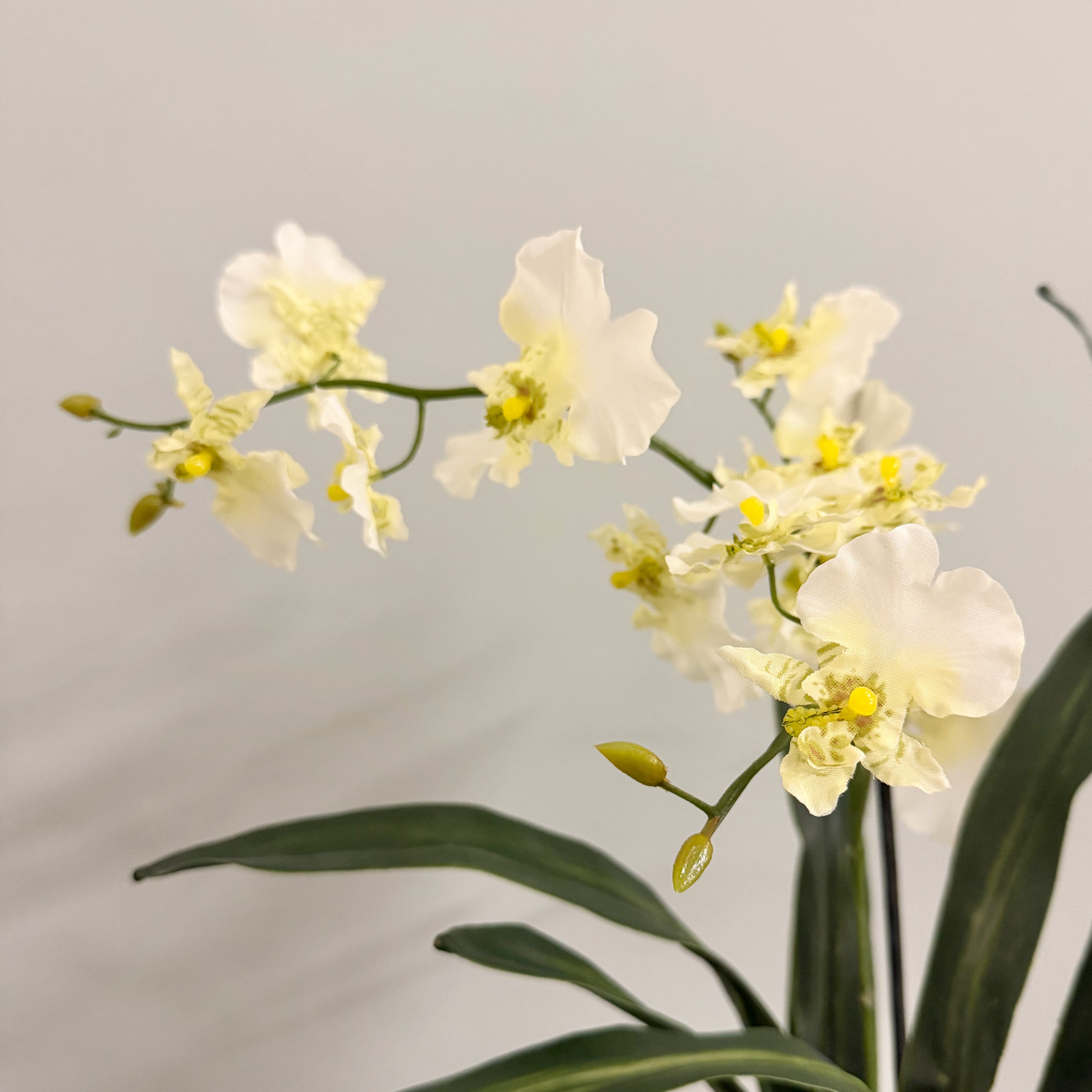 Realistic Artificial Dancing Orchid in Khaki Ceramic Pot AHCH-2851 by The Faux Flower Company