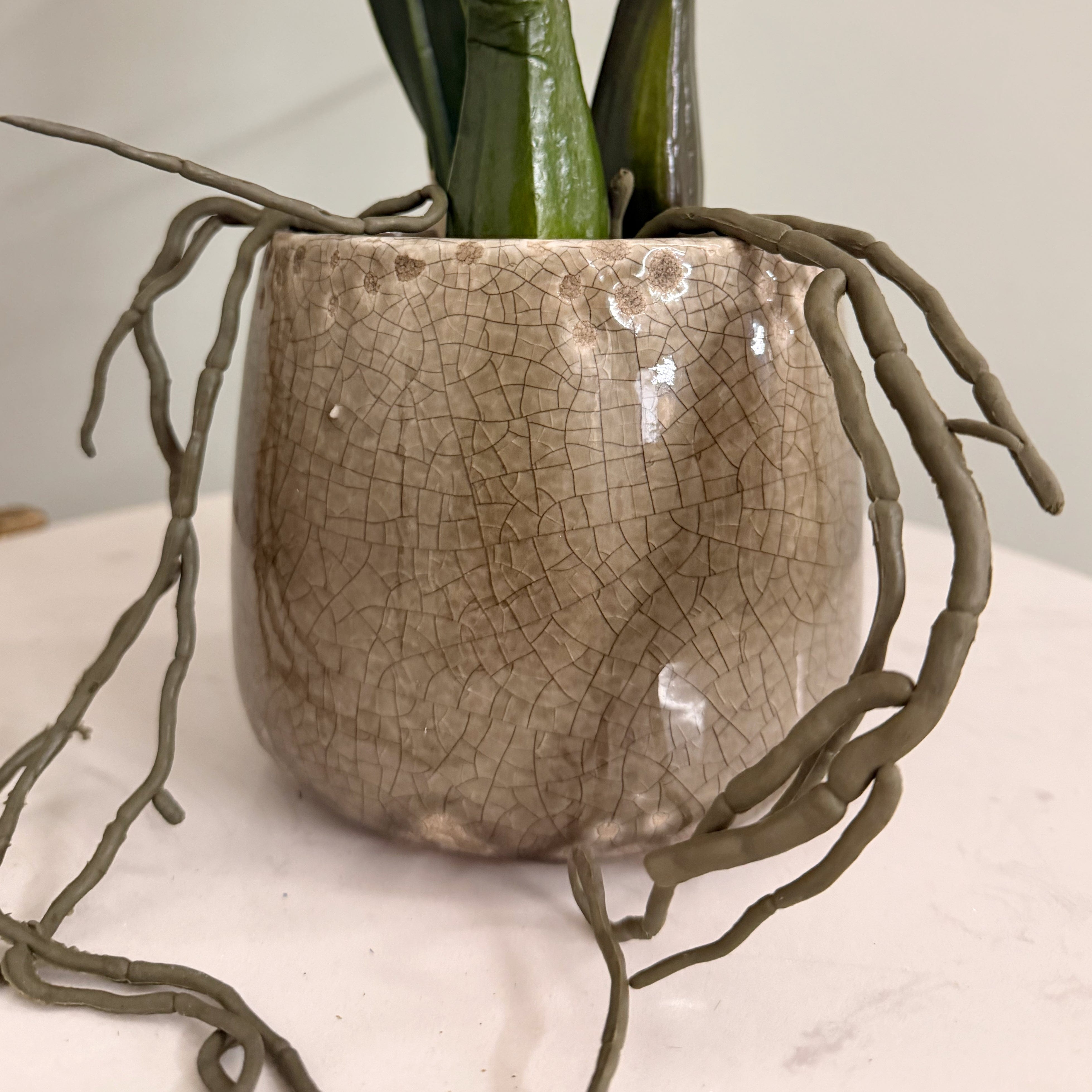 Realistic Artificial Dancing Orchid in Khaki Ceramic Pot AHCH-2851 by The Faux Flower Company