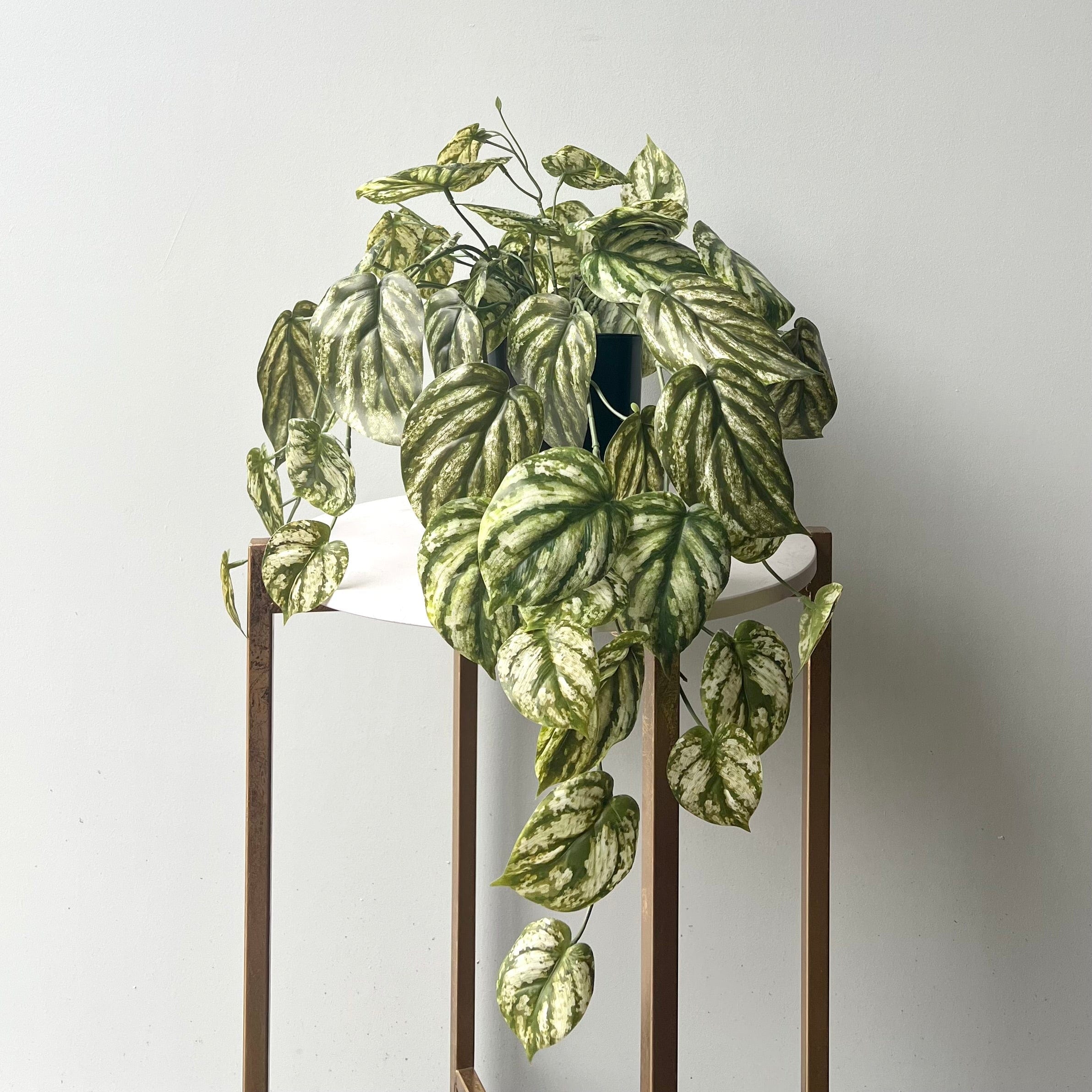 Realistic Artificial Green and White Hanging Peperomia Plant in Black Pot AHCH-2703 by The Faux Flower Company