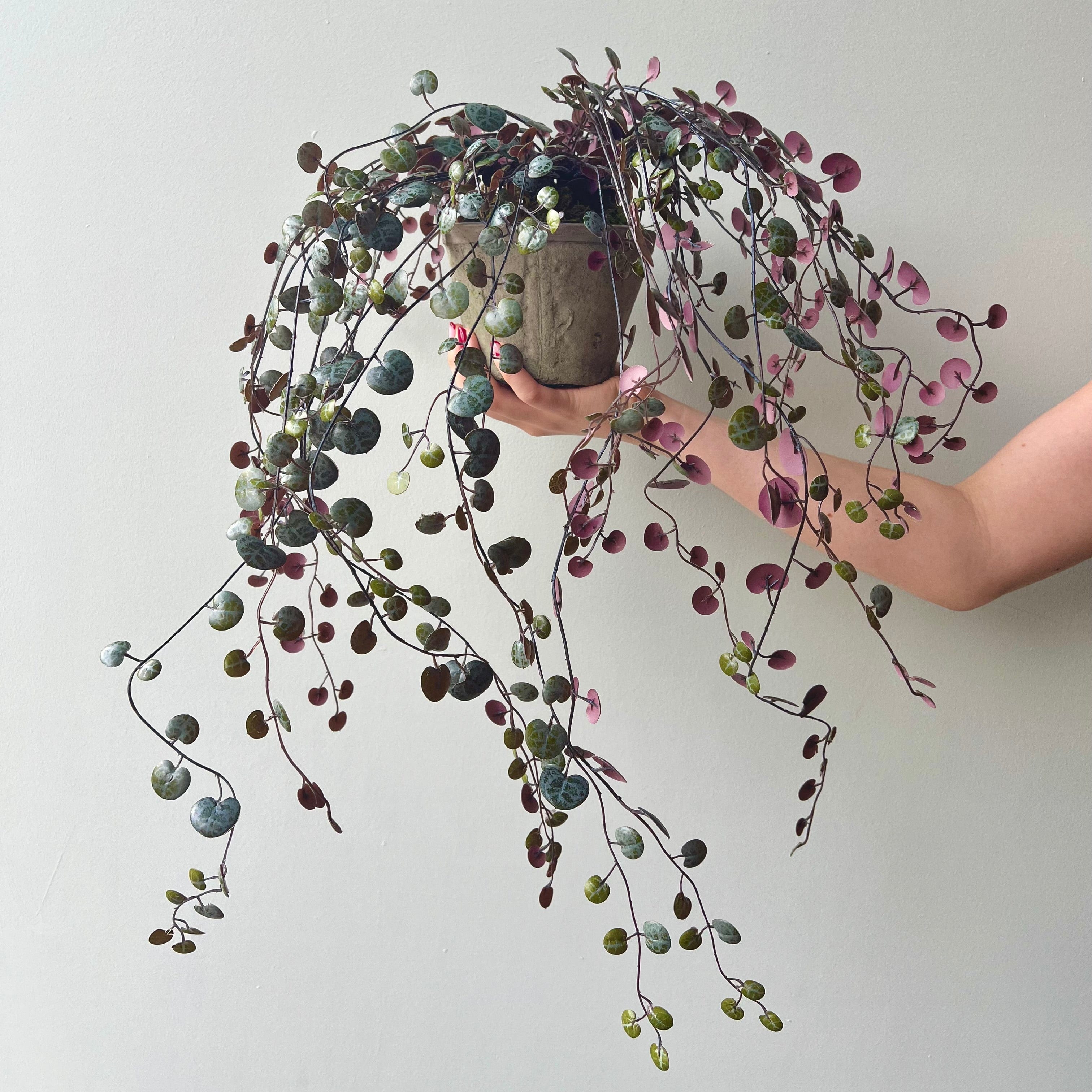 Realistic Artificial Purple Hanging Angel Vine Plant with Grey Cement Pot AHCH-0781 by The Faux Flower Company