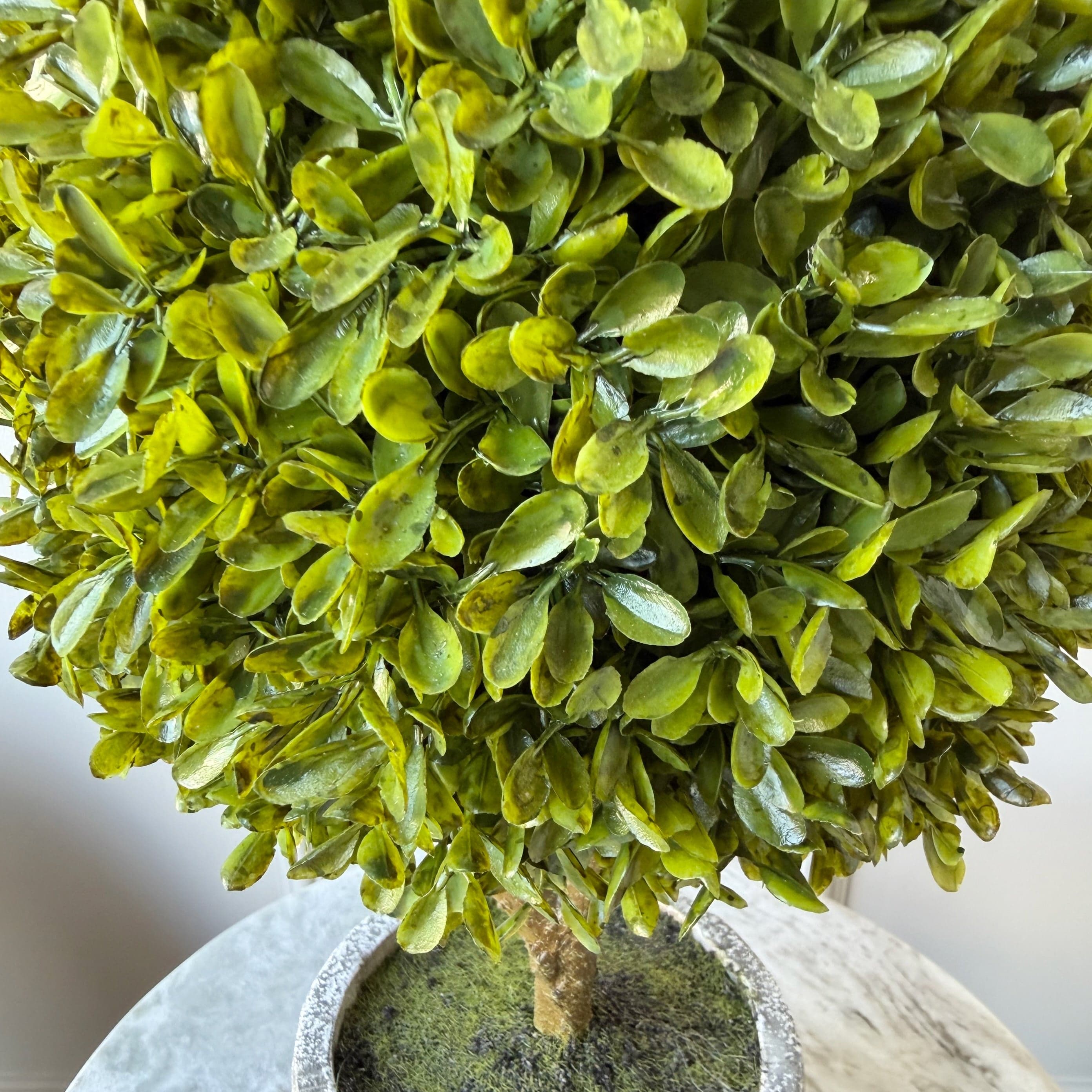 Realistic Artificial Green Miniature Boxwood Ball In Stone-look Pot AHCH-0978 by The Faux Flower Company