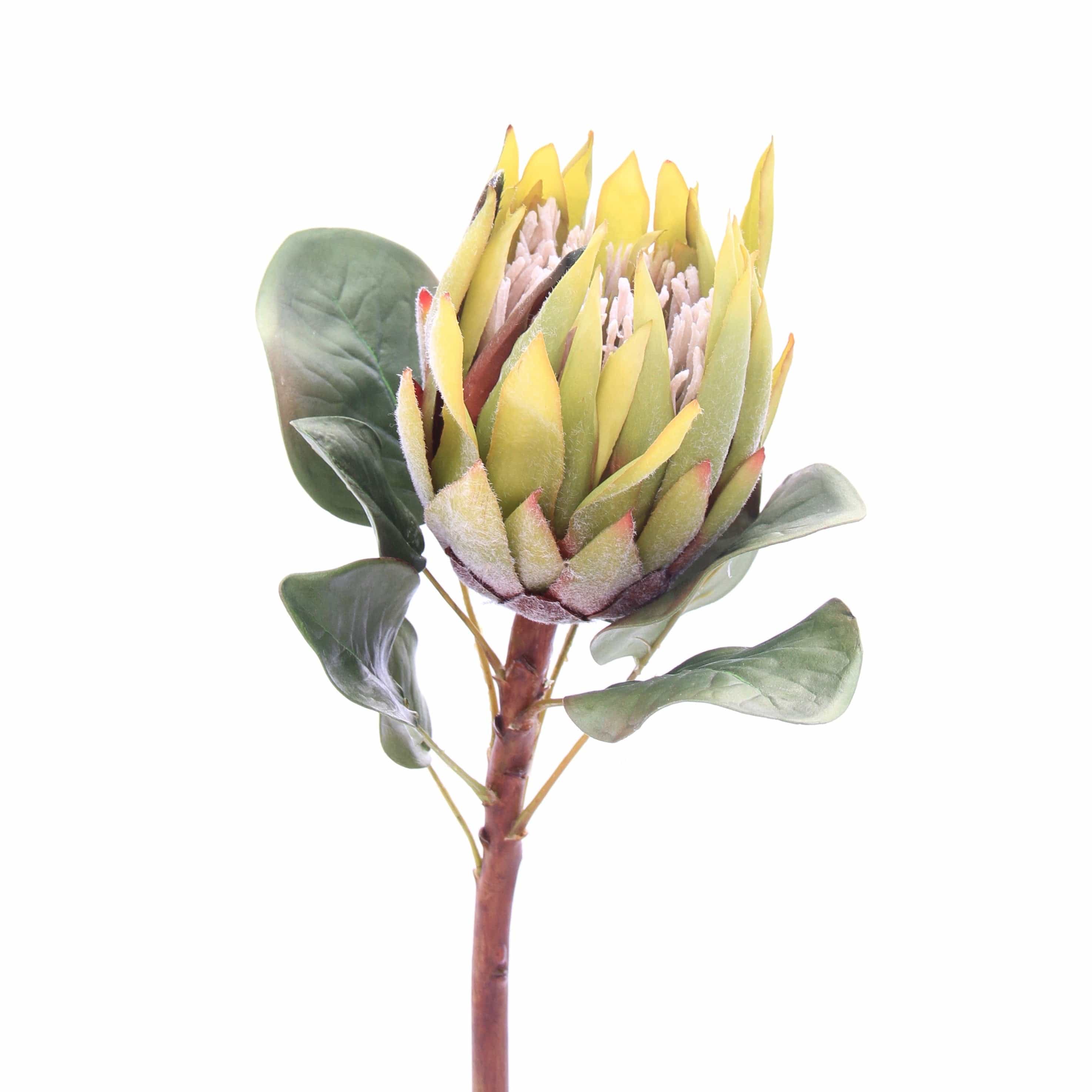 Realistic Artificial Green King Protea ABY7018GR by The Faux Flower Company