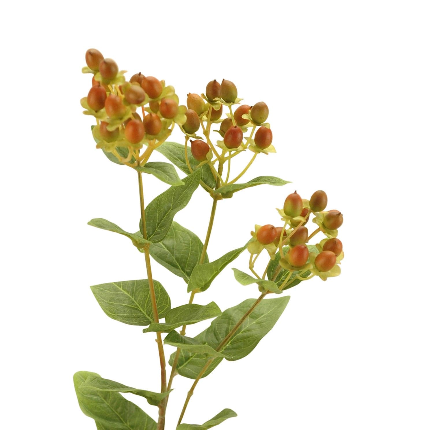 Realistic Artificial Orange Hypericum Berries ABX5063OR by The Faux Flower Company