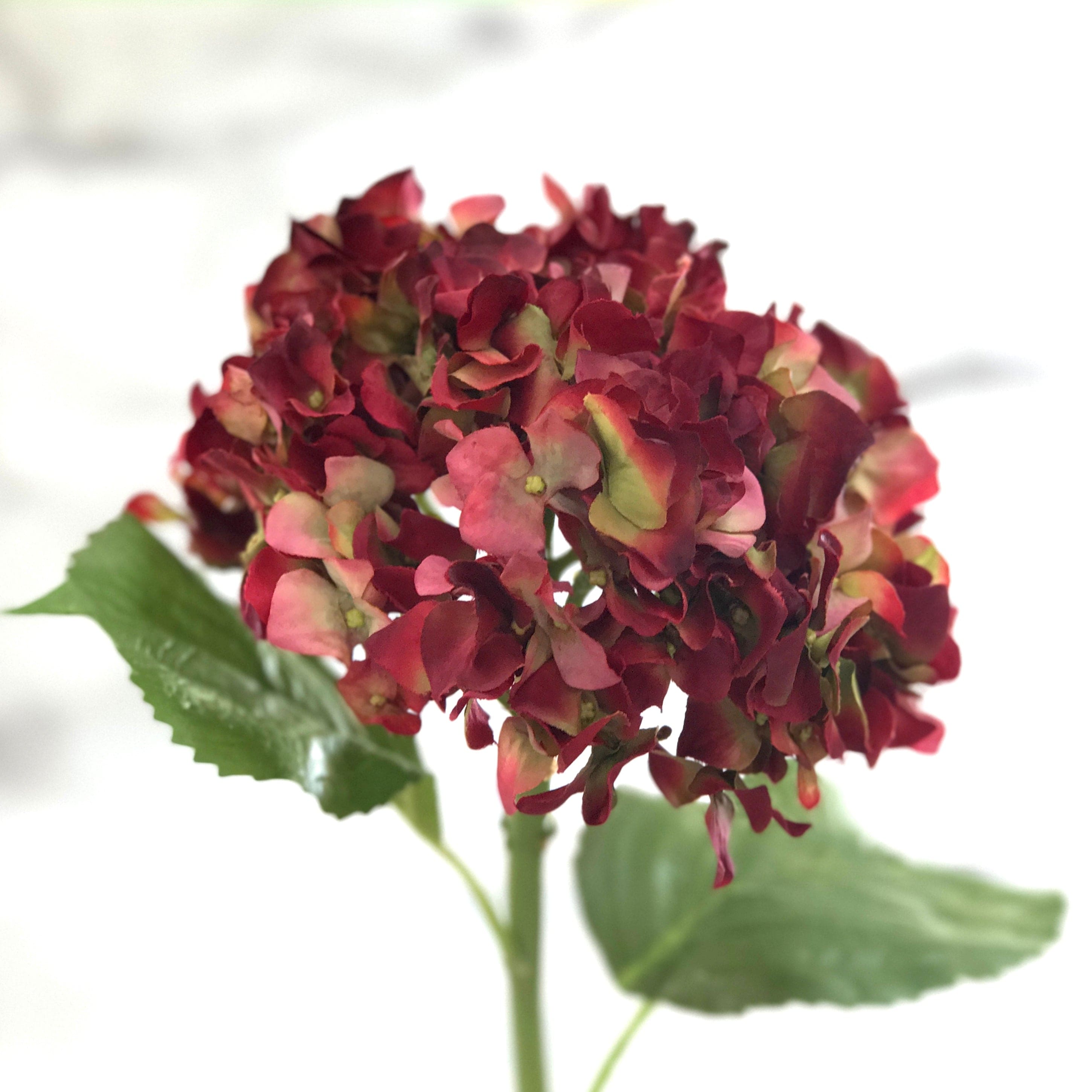 Realistic Artificial Red Dried Hydrangea ABY5070RD by The Faux Flower Company