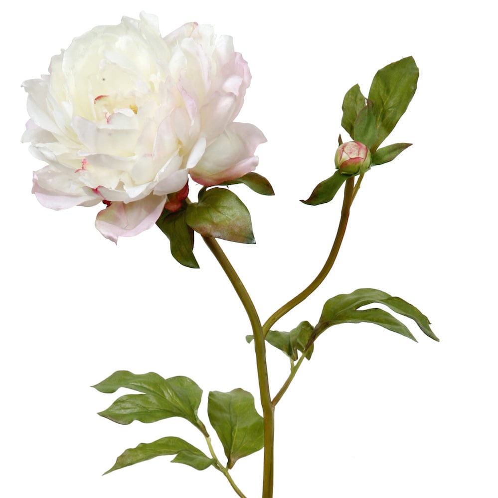 Realistic Artificial White Classic Peony ABY6043WH by The Faux Flower Company