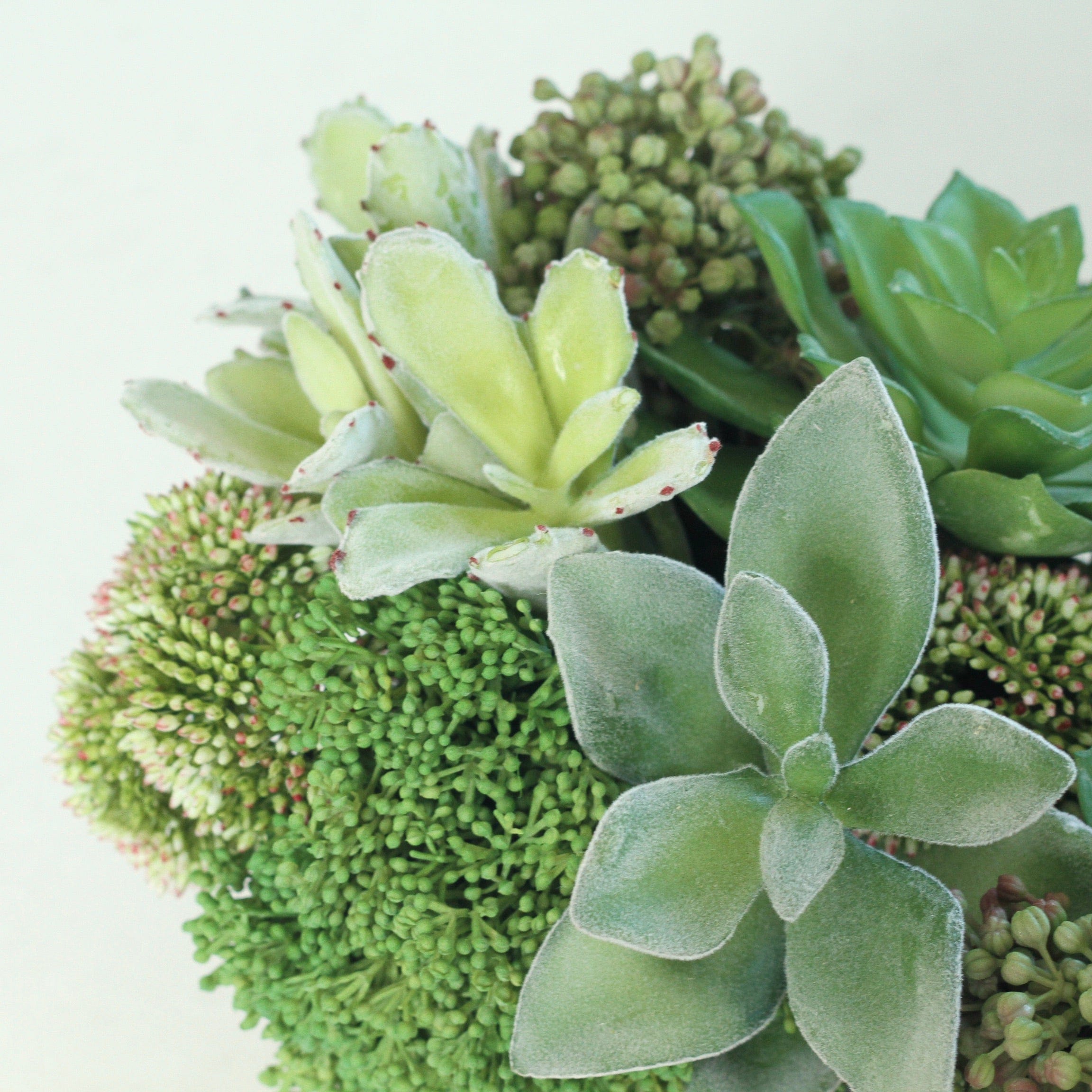 Realistic Green Succulent & Skimmia Arrangement AHCH-803 by The Faux Flower Company