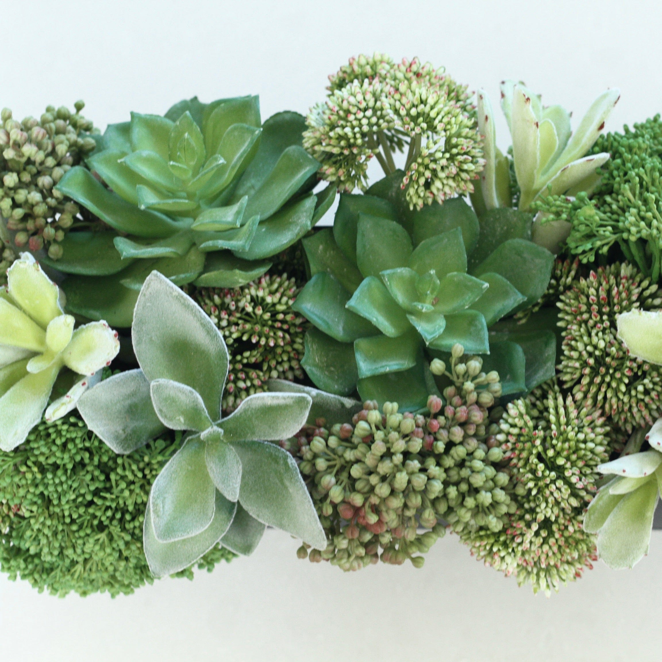 Realistic Green Succulent & Skimmia Arrangement AHCH-803 by The Faux Flower Company